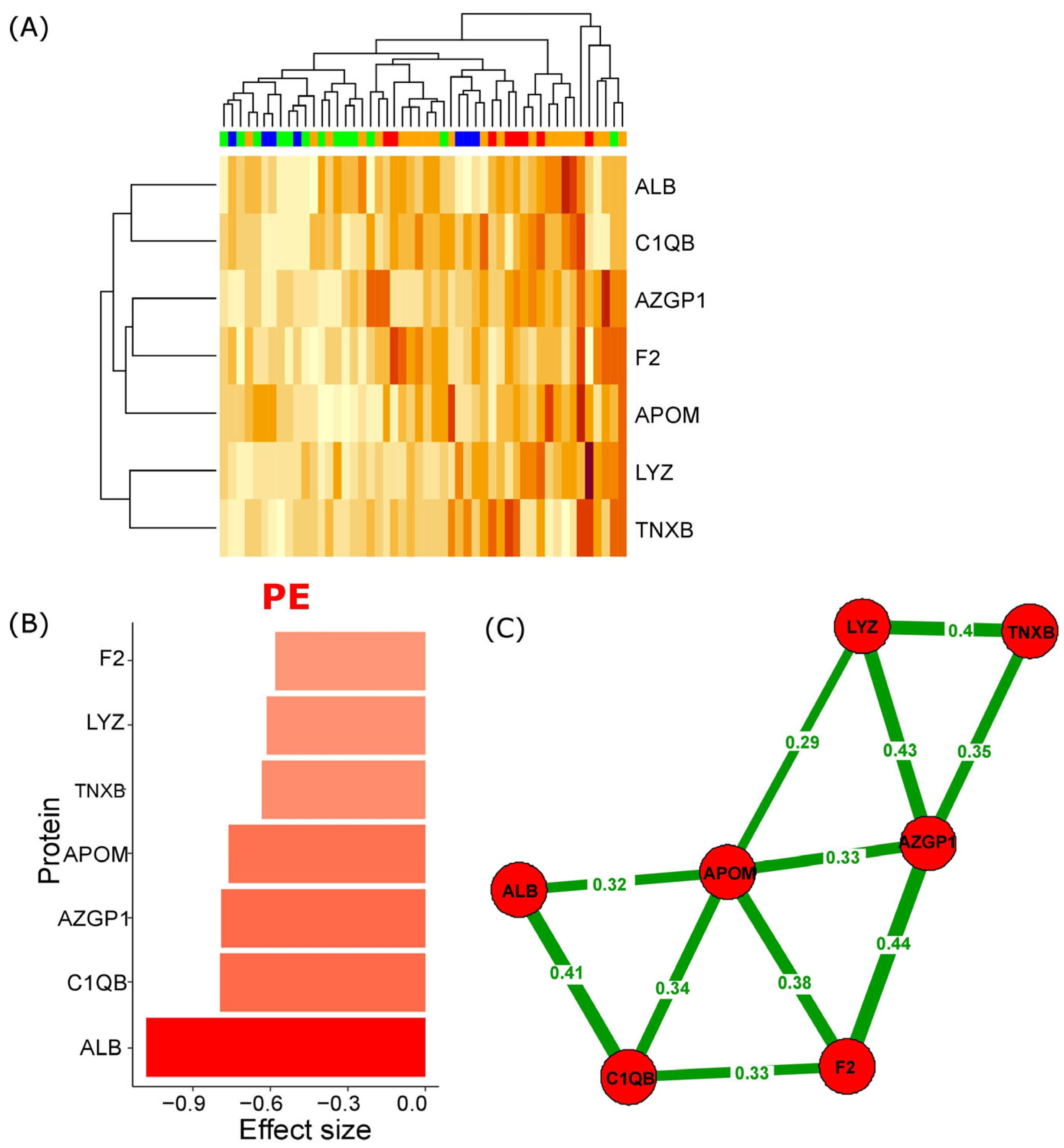 Ijms 25 10653 g002 Ijms 25 10653 g002