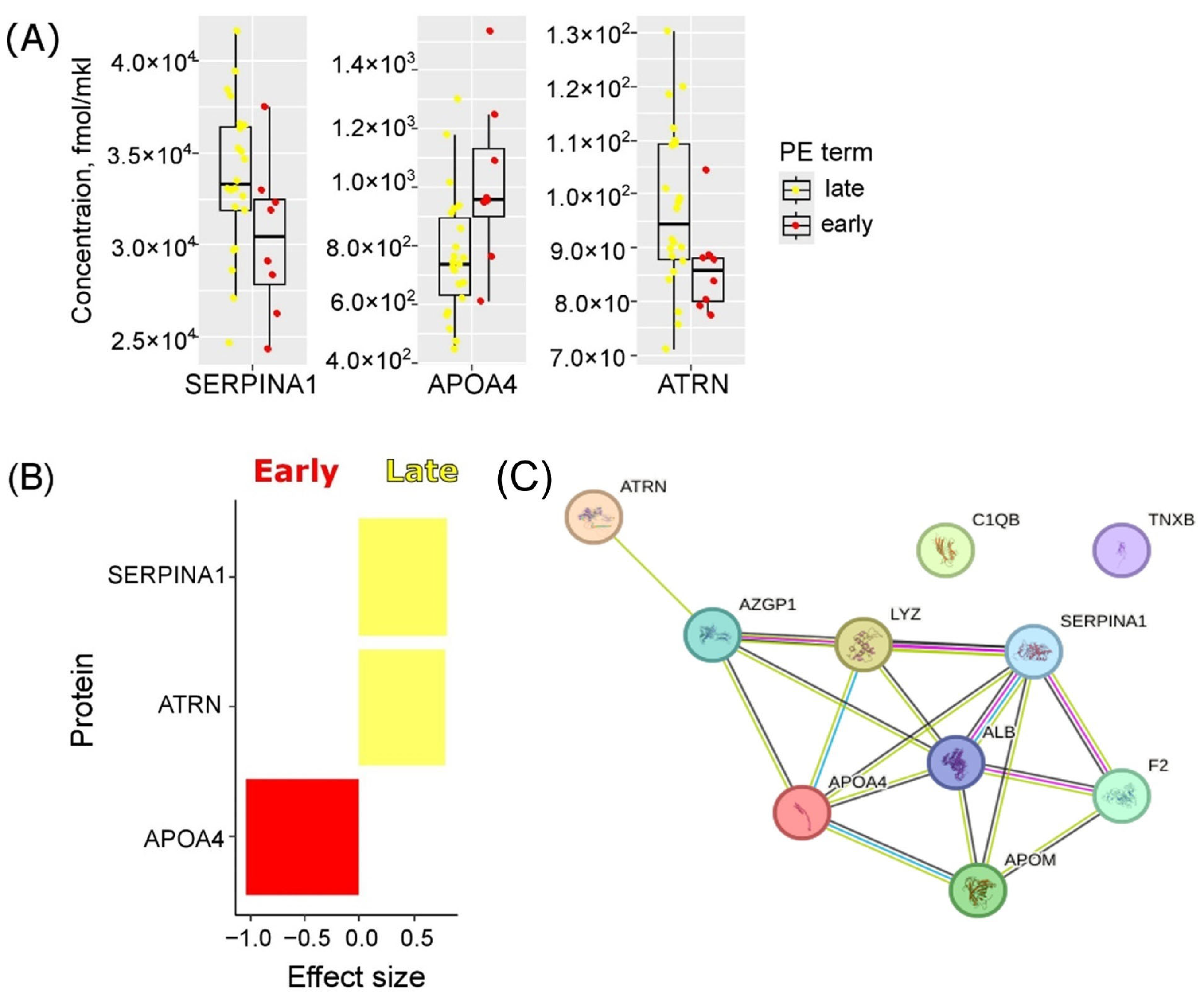 Ijms 25 10653 g003 Ijms 25 10653 g003