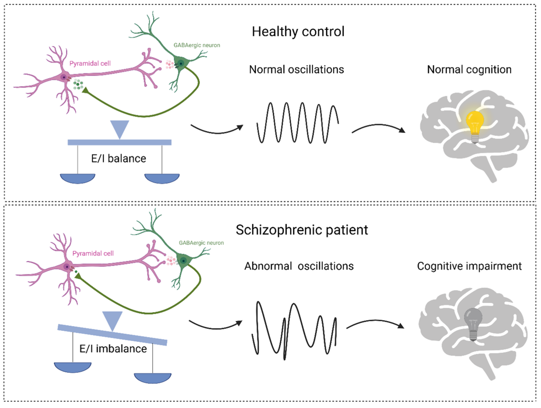 Ijms 25 10668 g002 Ijms 25 10668 g002