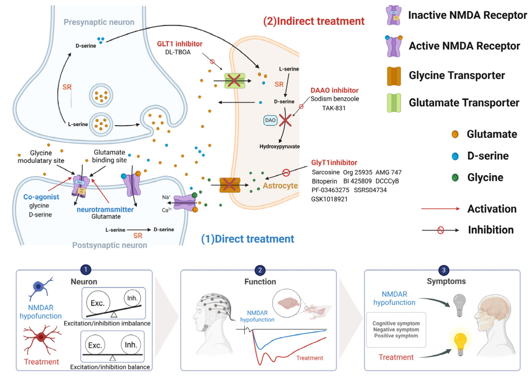 Ijms 25 10668 g003 Ijms 25 10668 g003