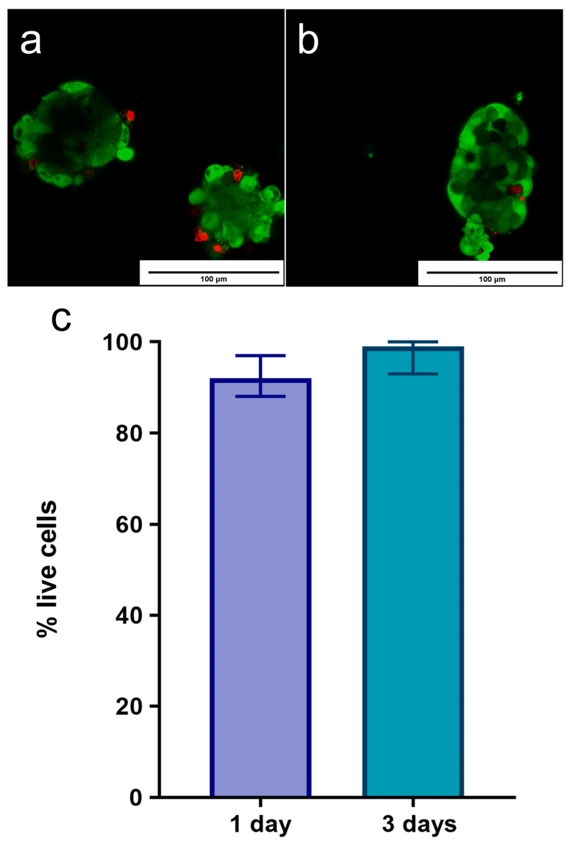 Ijms 25 10669 g004 Ijms 25 10669 g004