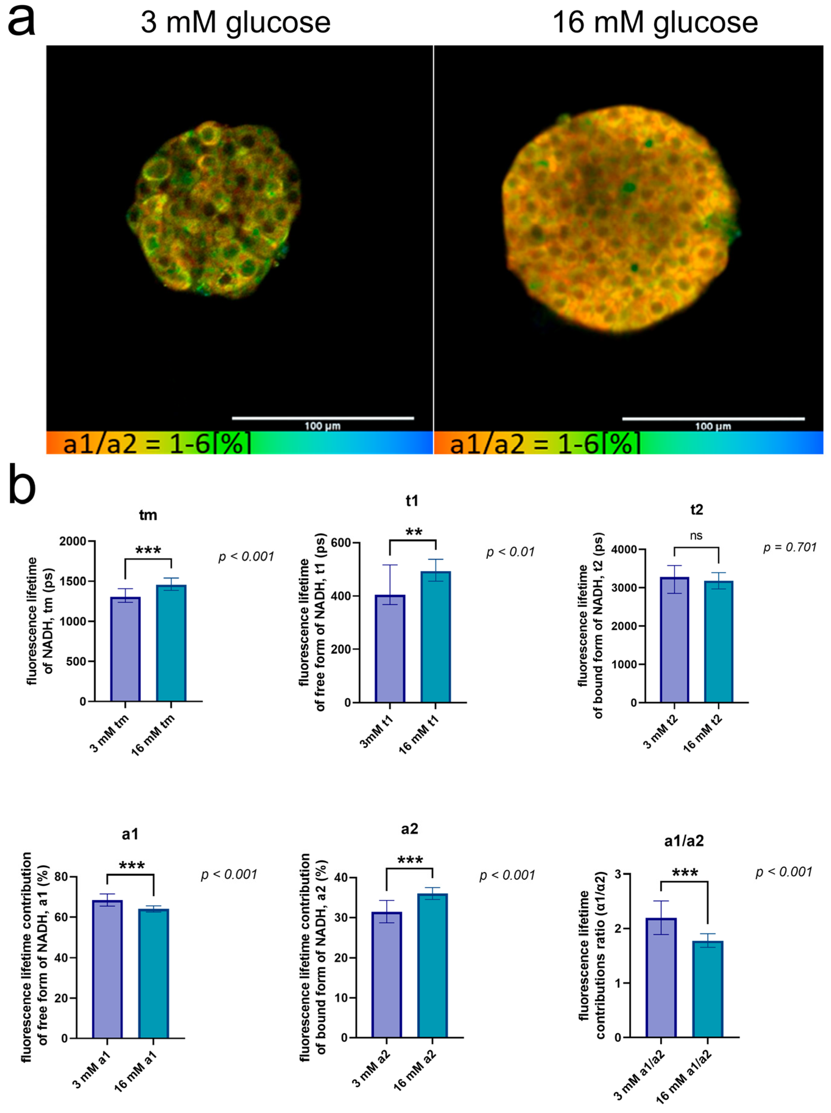 Ijms 25 10669 g006 Ijms 25 10669 g006