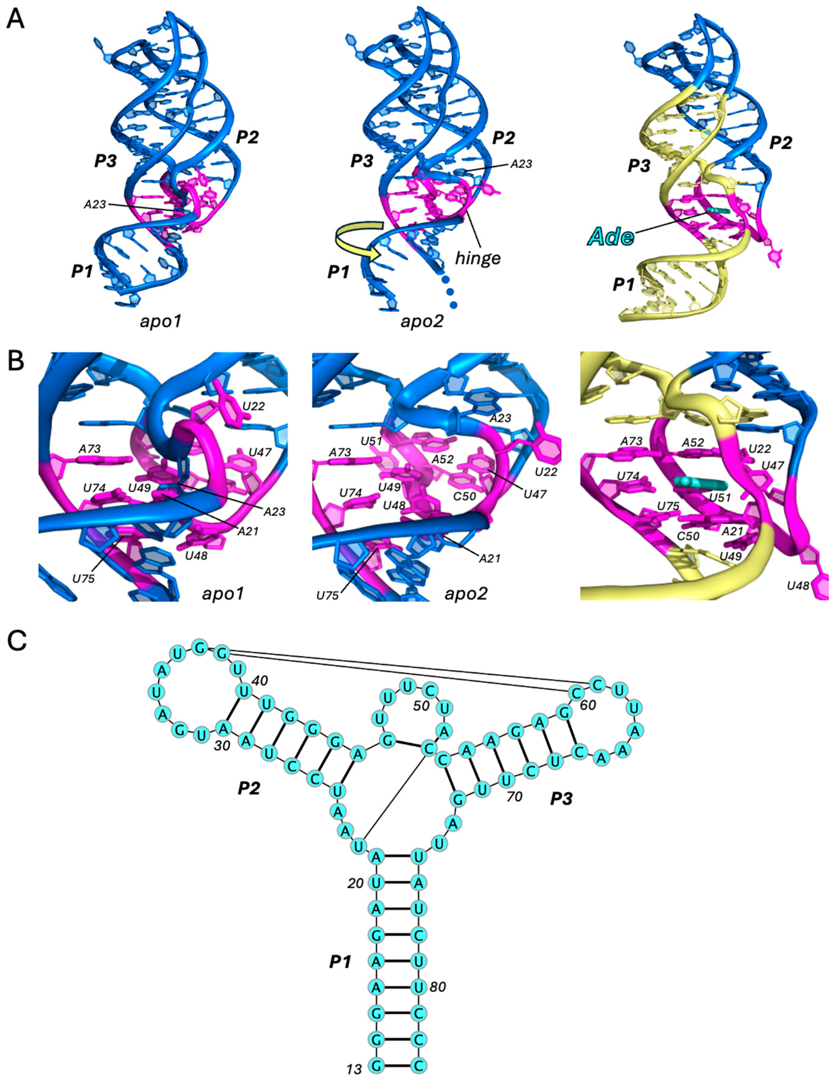 Ijms 25 10682 g001 Ijms 25 10682 g001