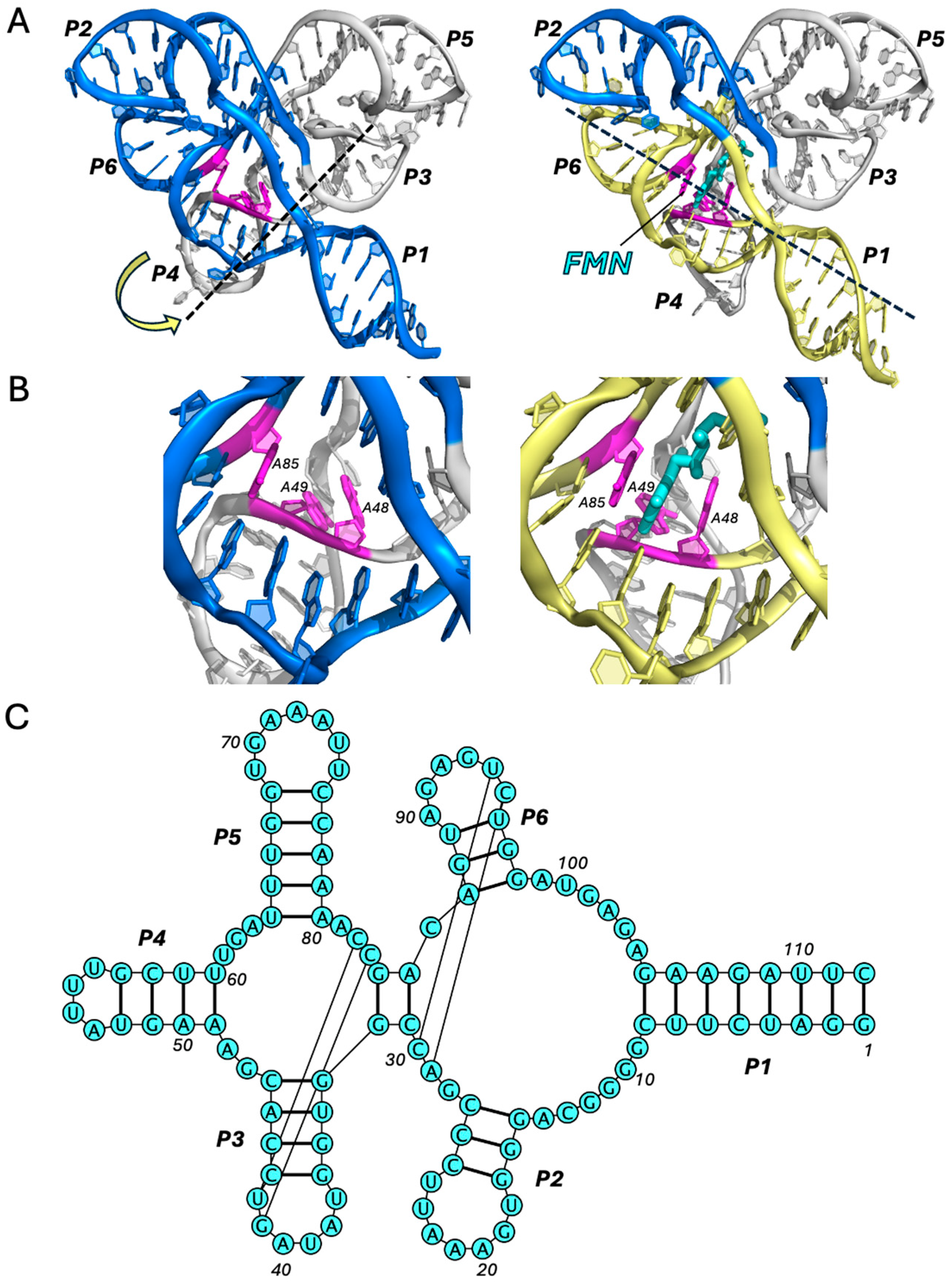 Ijms 25 10682 g002 Ijms 25 10682 g002