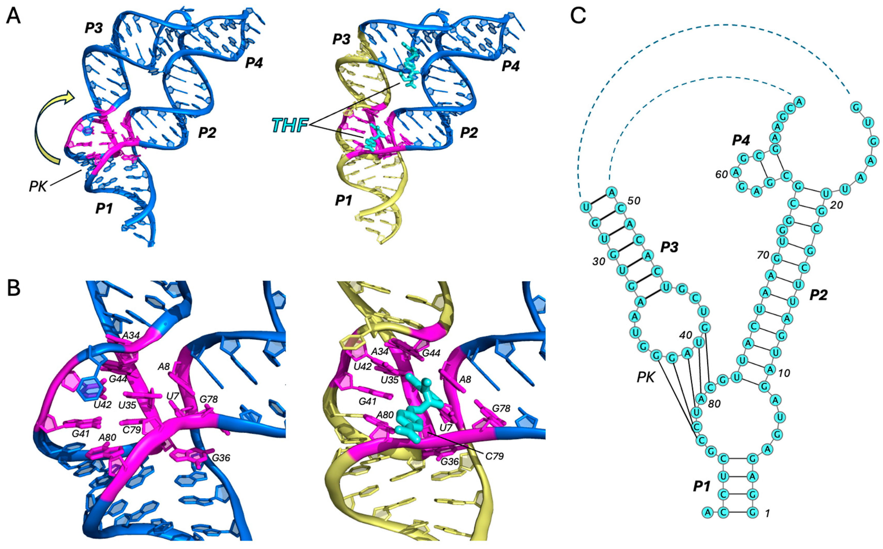 Ijms 25 10682 g004 Ijms 25 10682 g004