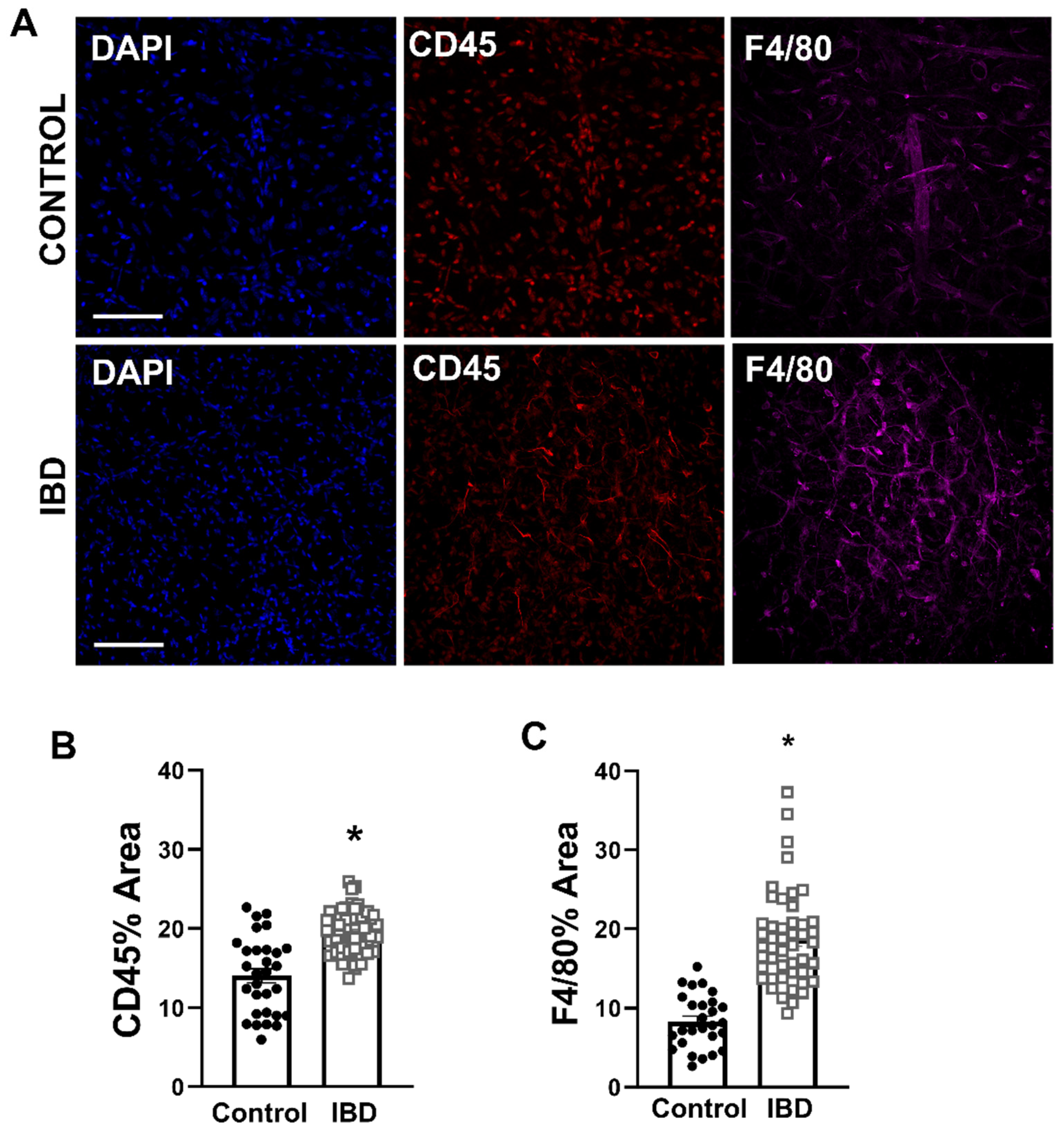 Ijms 25 10726 g003 Ijms 25 10726 g003