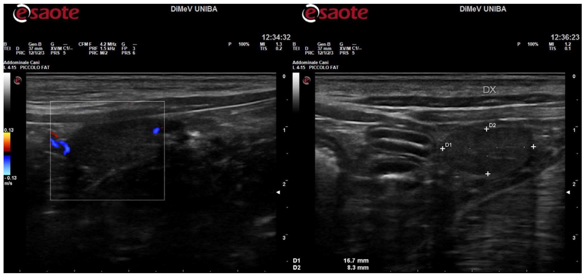 Ijms 25 10763 g0a2 Ijms 25 10763 g0a2