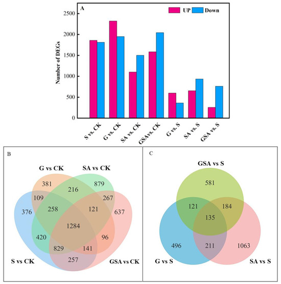 An Enhanced Interaction of Graft and Exogenous SA on