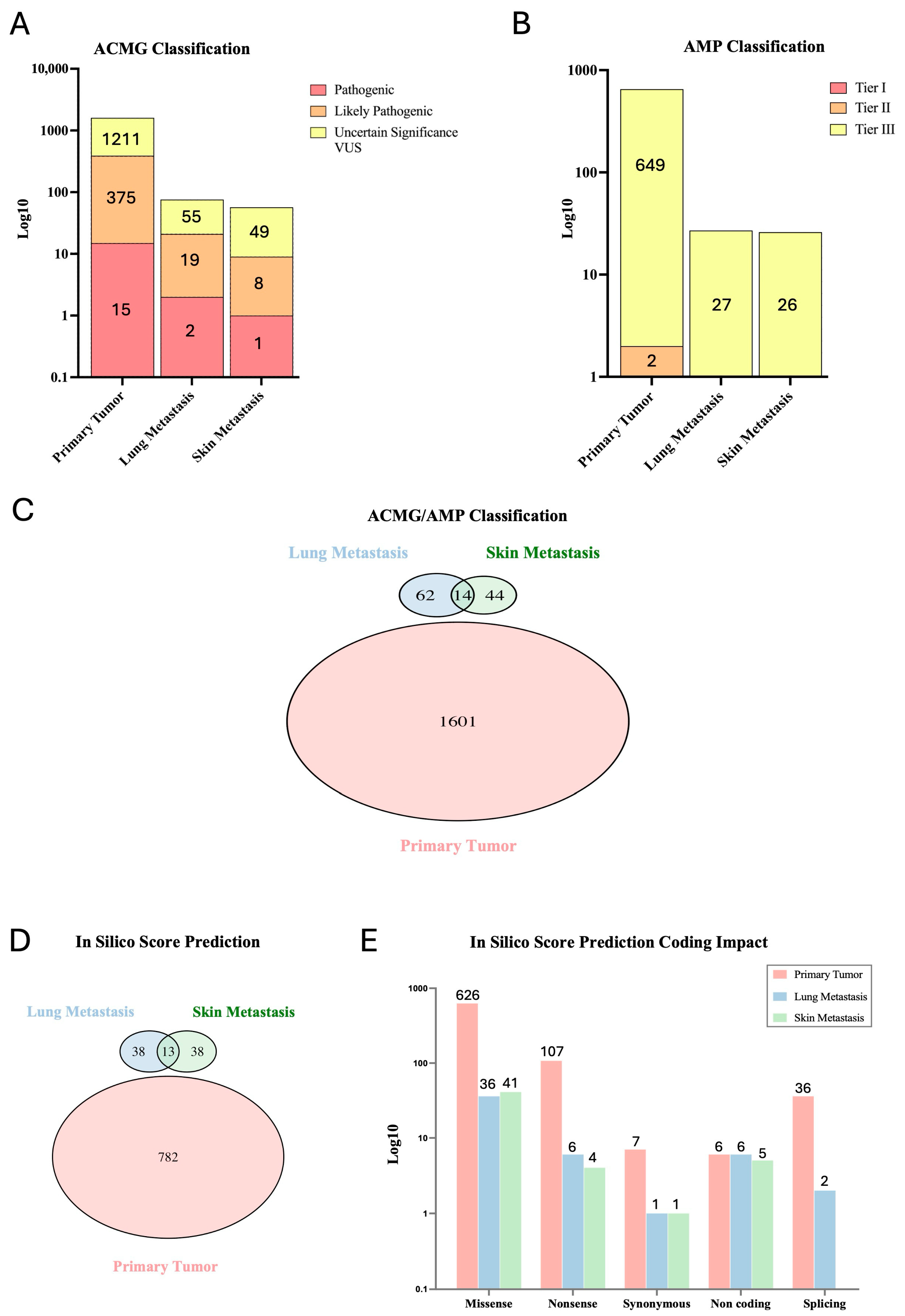 Ijms 25 10822 g002 Ijms 25 10822 g002