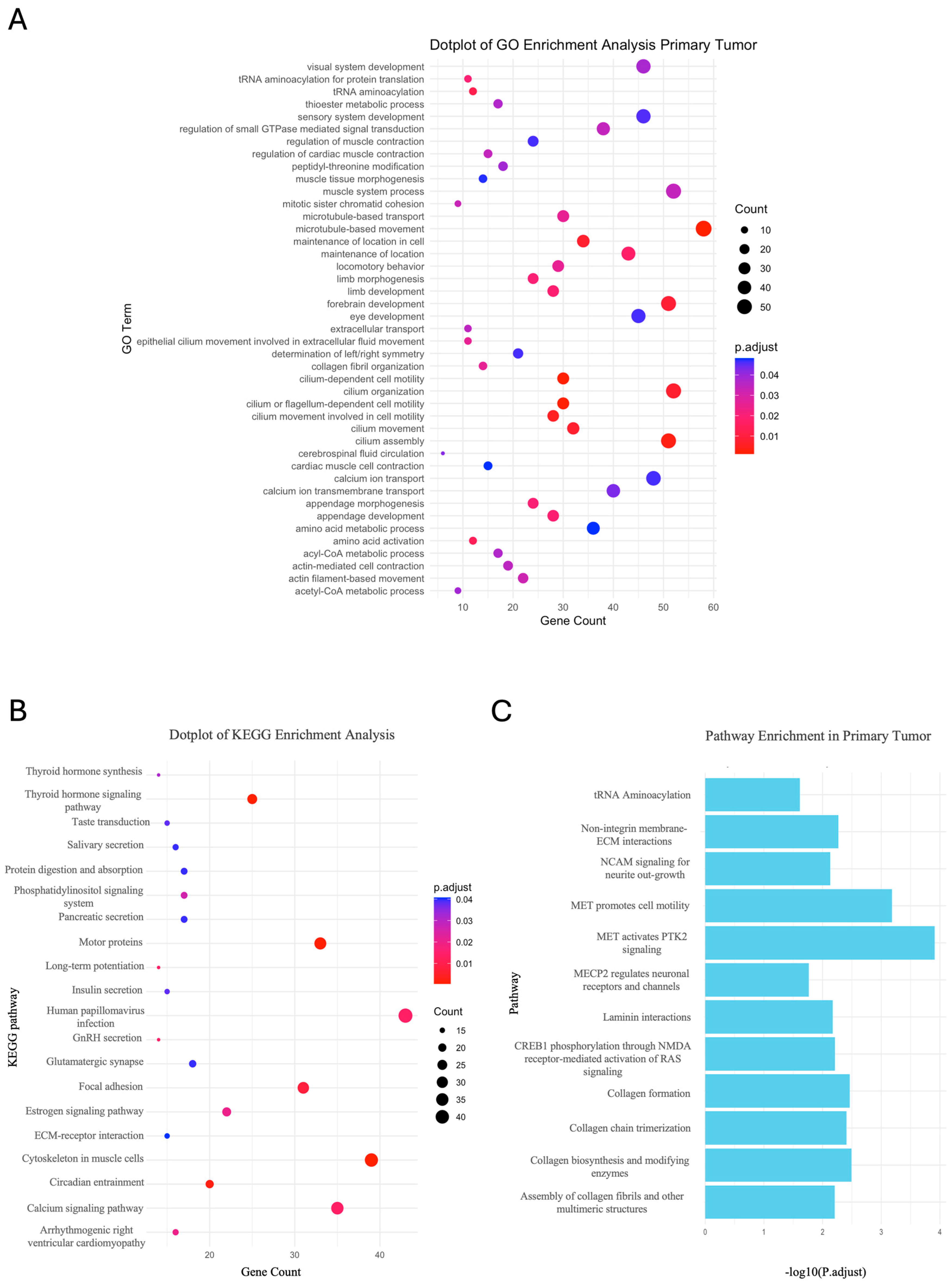 Ijms 25 10822 g004 Ijms 25 10822 g004