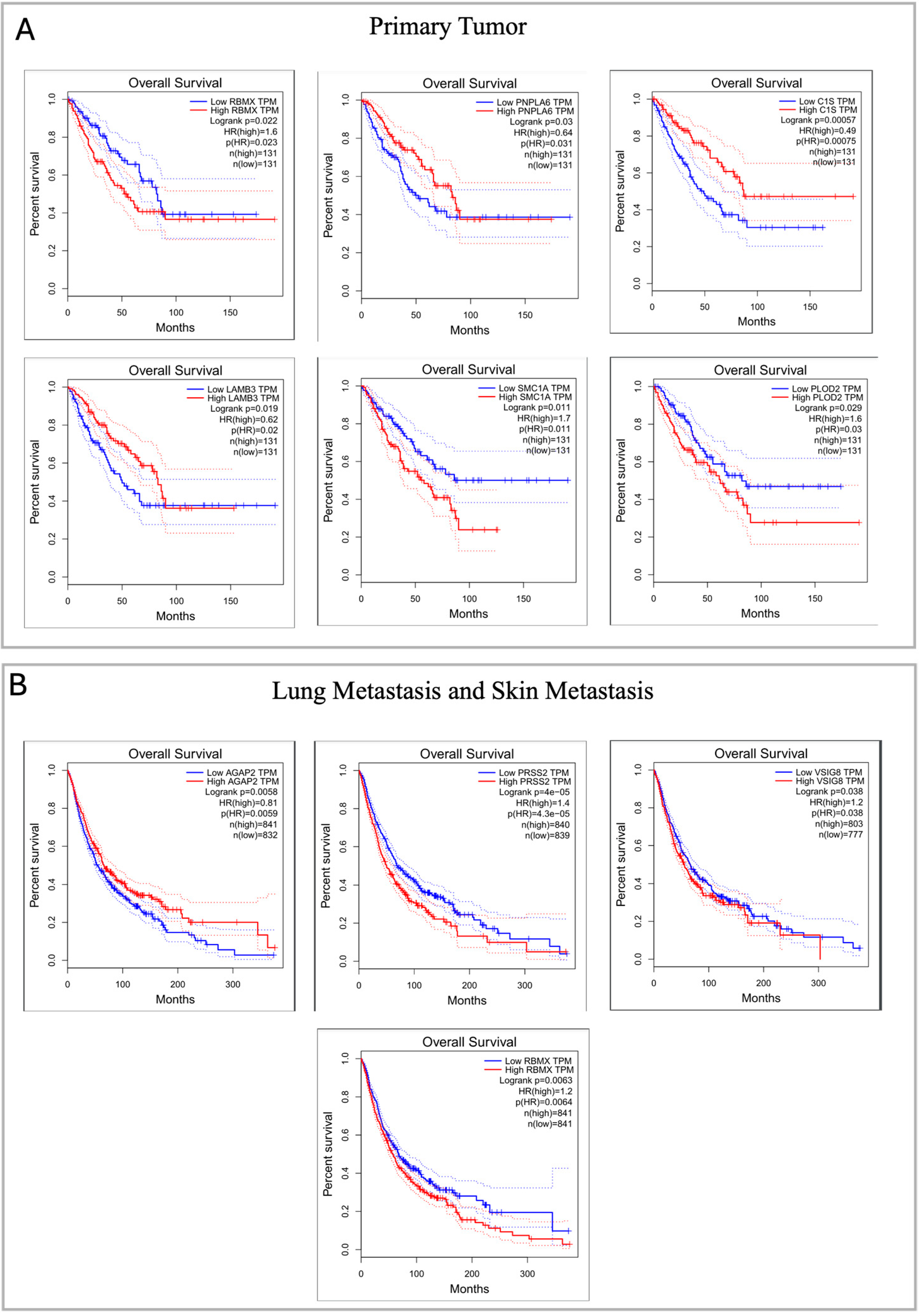 Ijms 25 10822 g005 Ijms 25 10822 g005