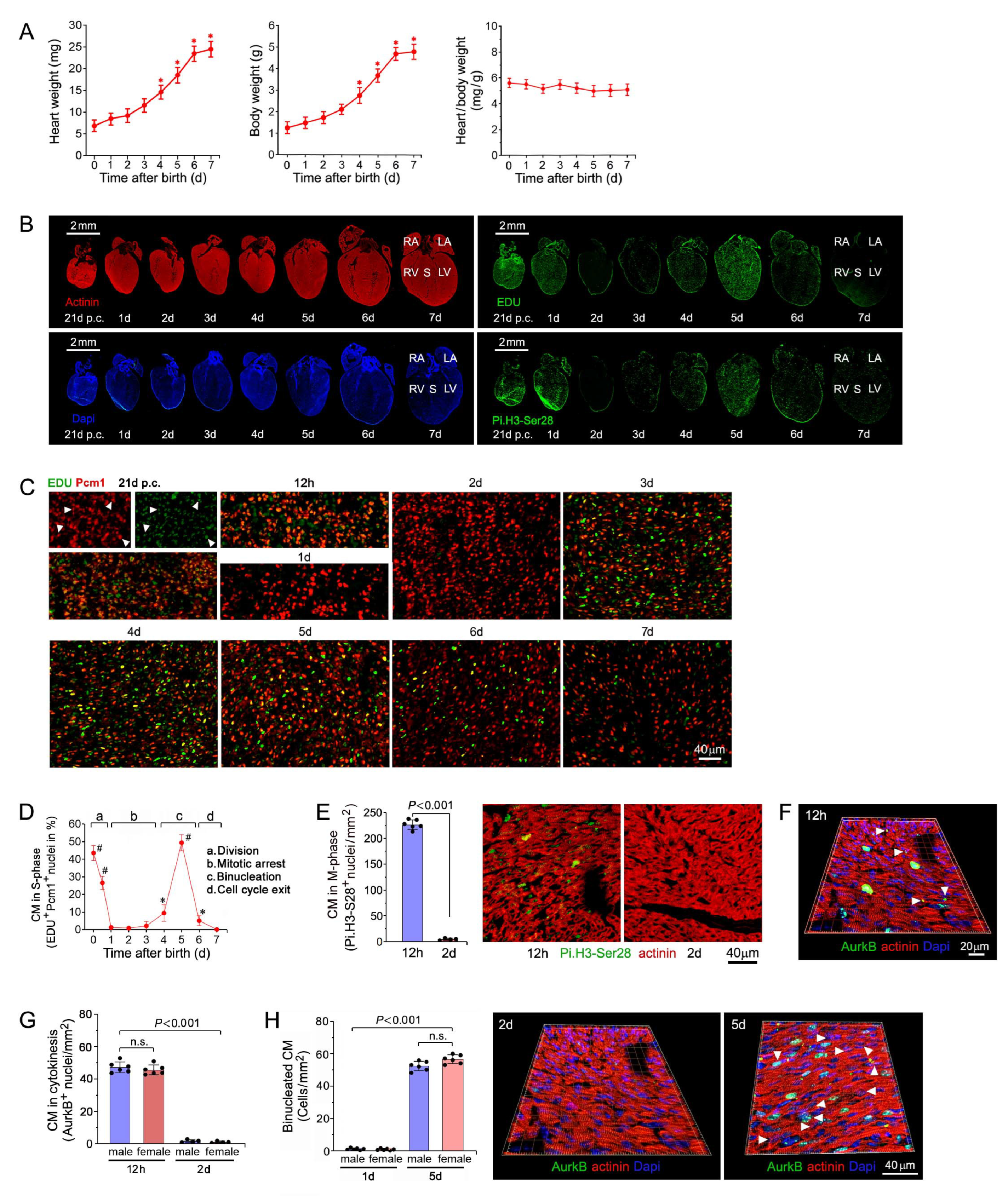 Ijms 25 10824 g001 Ijms 25 10824 g001