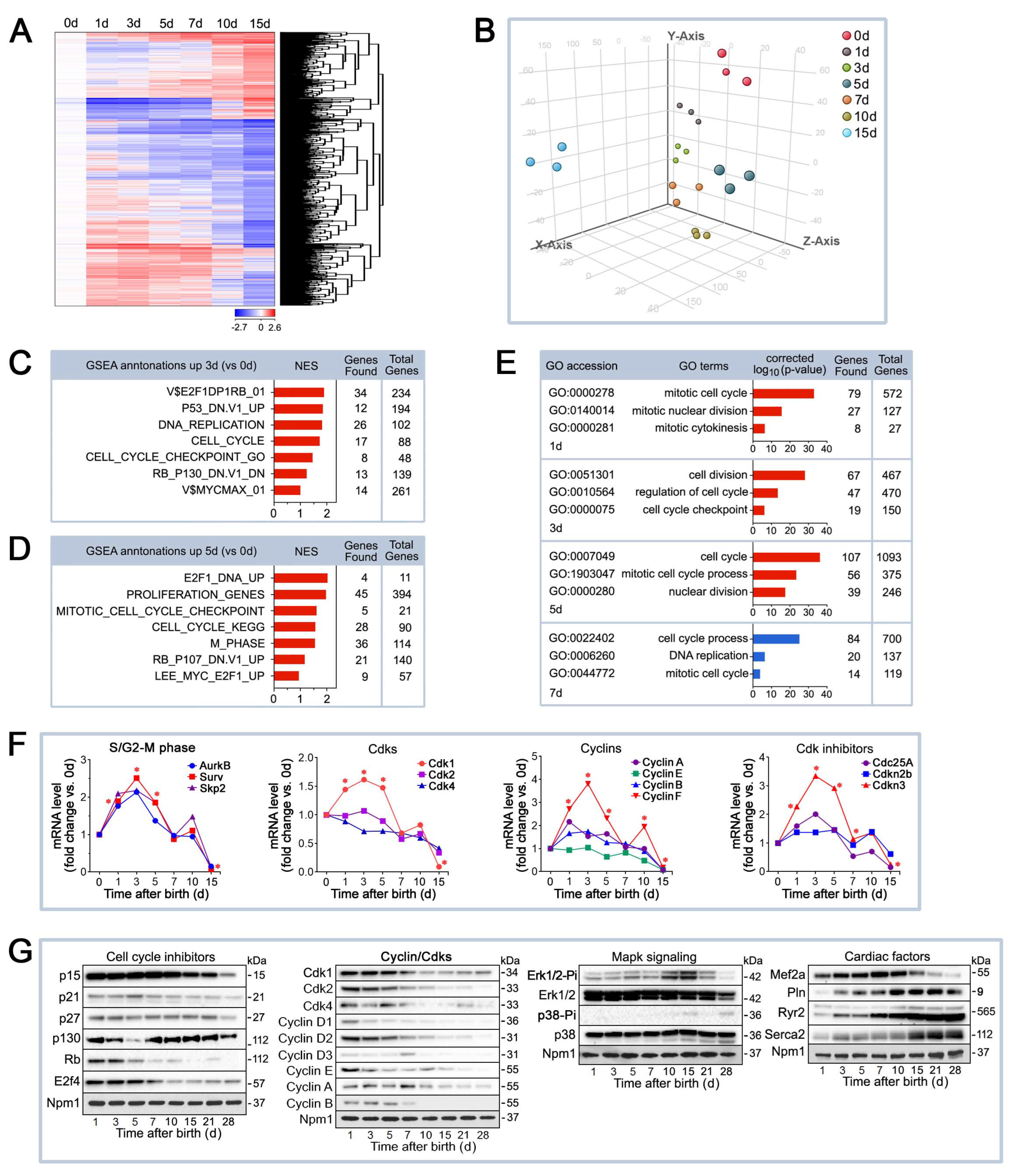 Ijms 25 10824 g002 Ijms 25 10824 g002