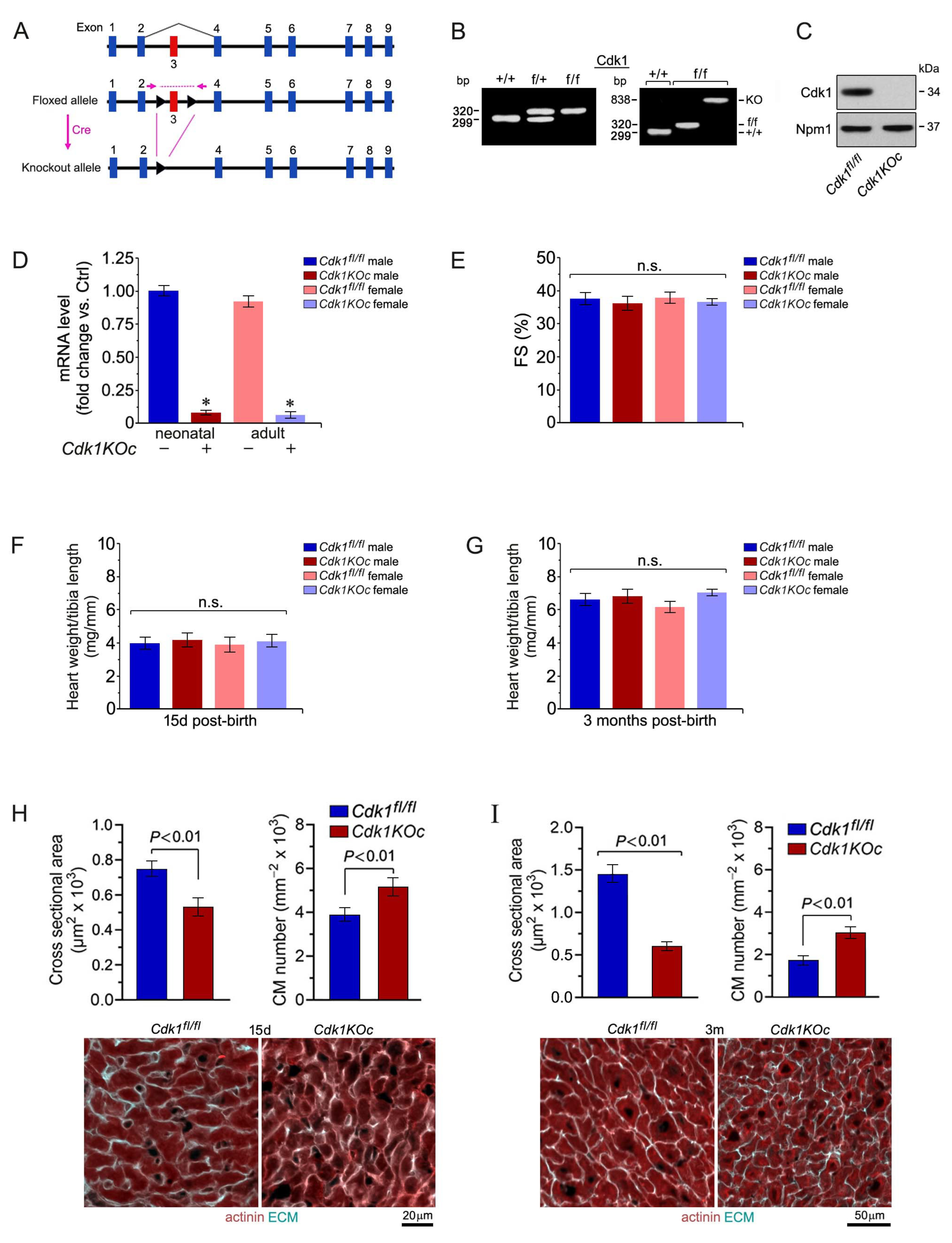 Ijms 25 10824 g003 Ijms 25 10824 g003