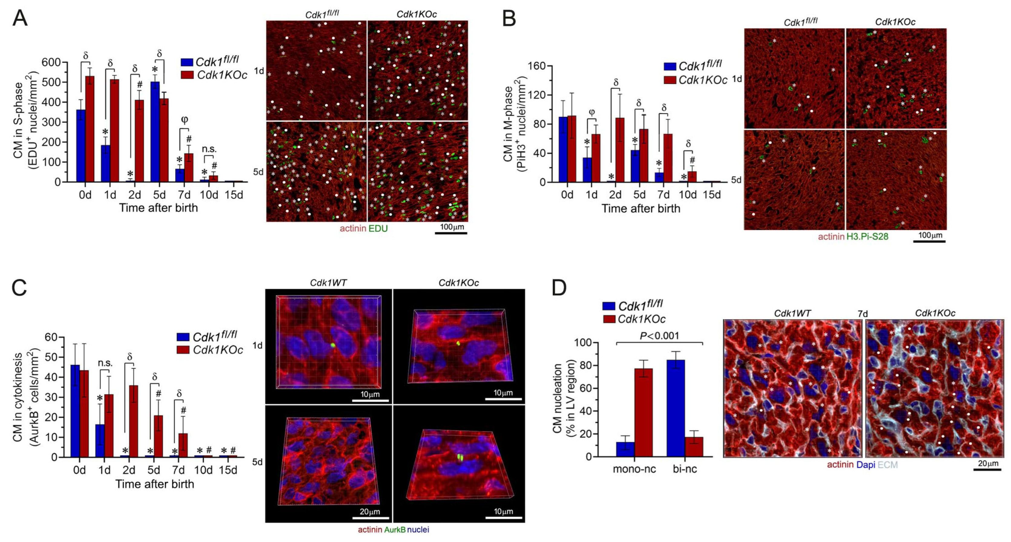 Ijms 25 10824 g004 Ijms 25 10824 g004