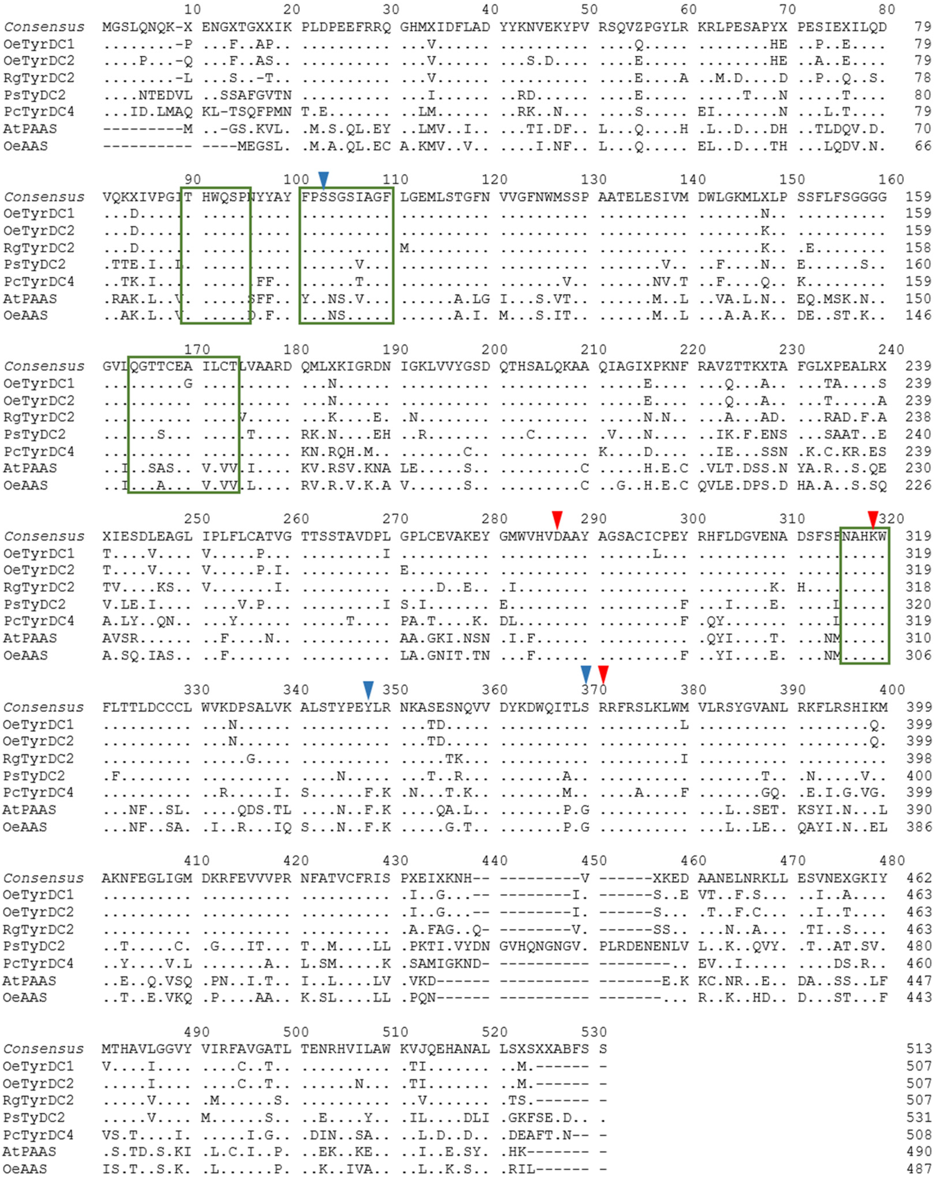 Ijms 25 10892 g003 Ijms 25 10892 g003