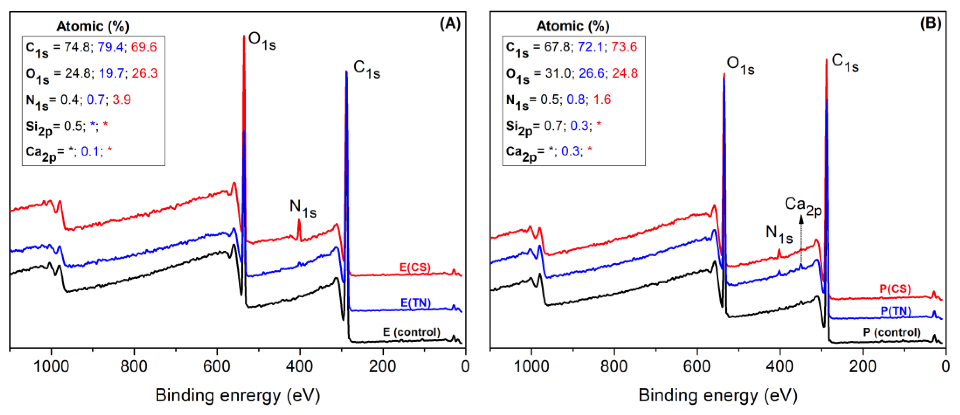 Ijms 25 10899 g002 Ijms 25 10899 g002