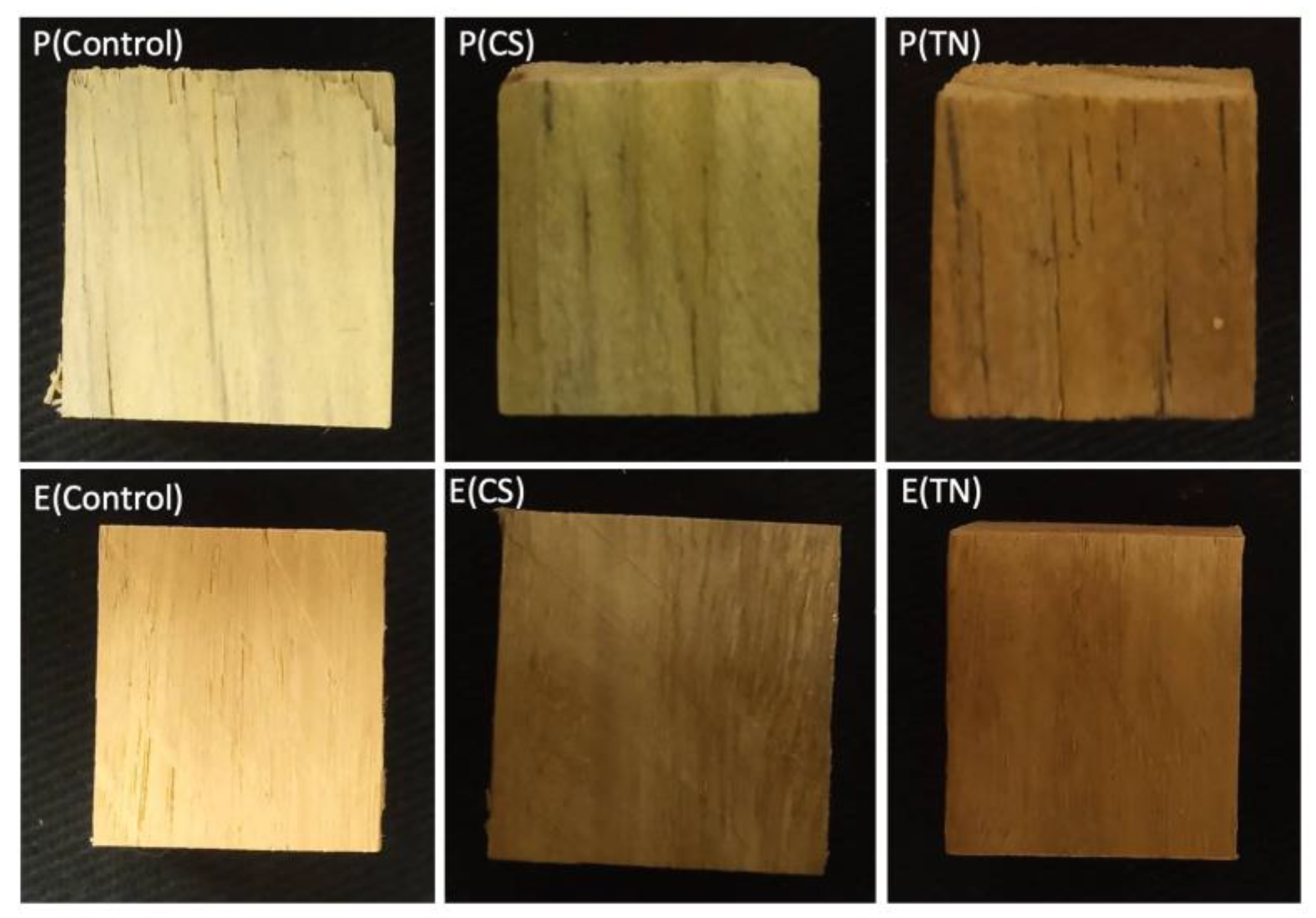 Ijms 25 10899 g005 Ijms 25 10899 g005