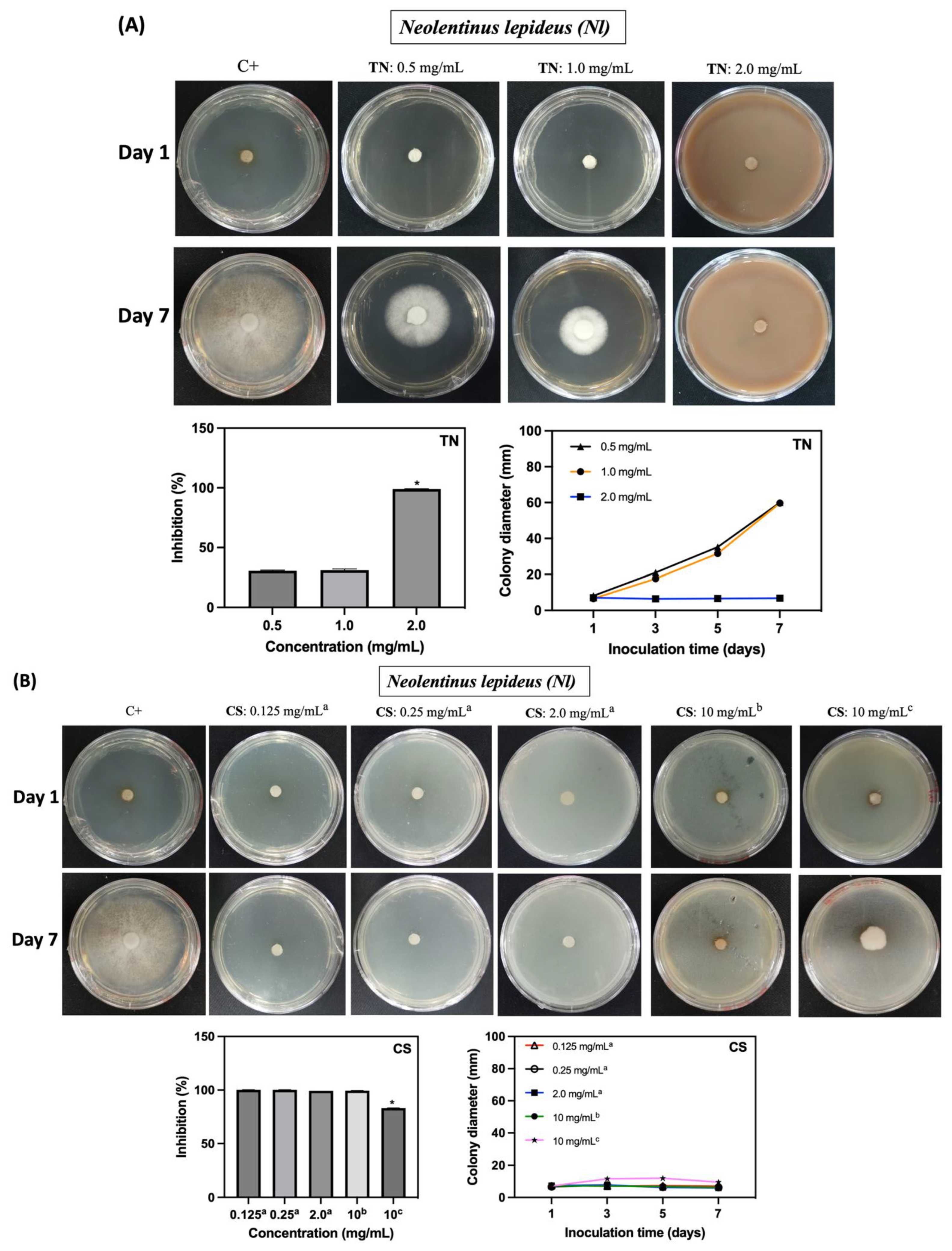 Ijms 25 10899 g006a Ijms 25 10899 g006a