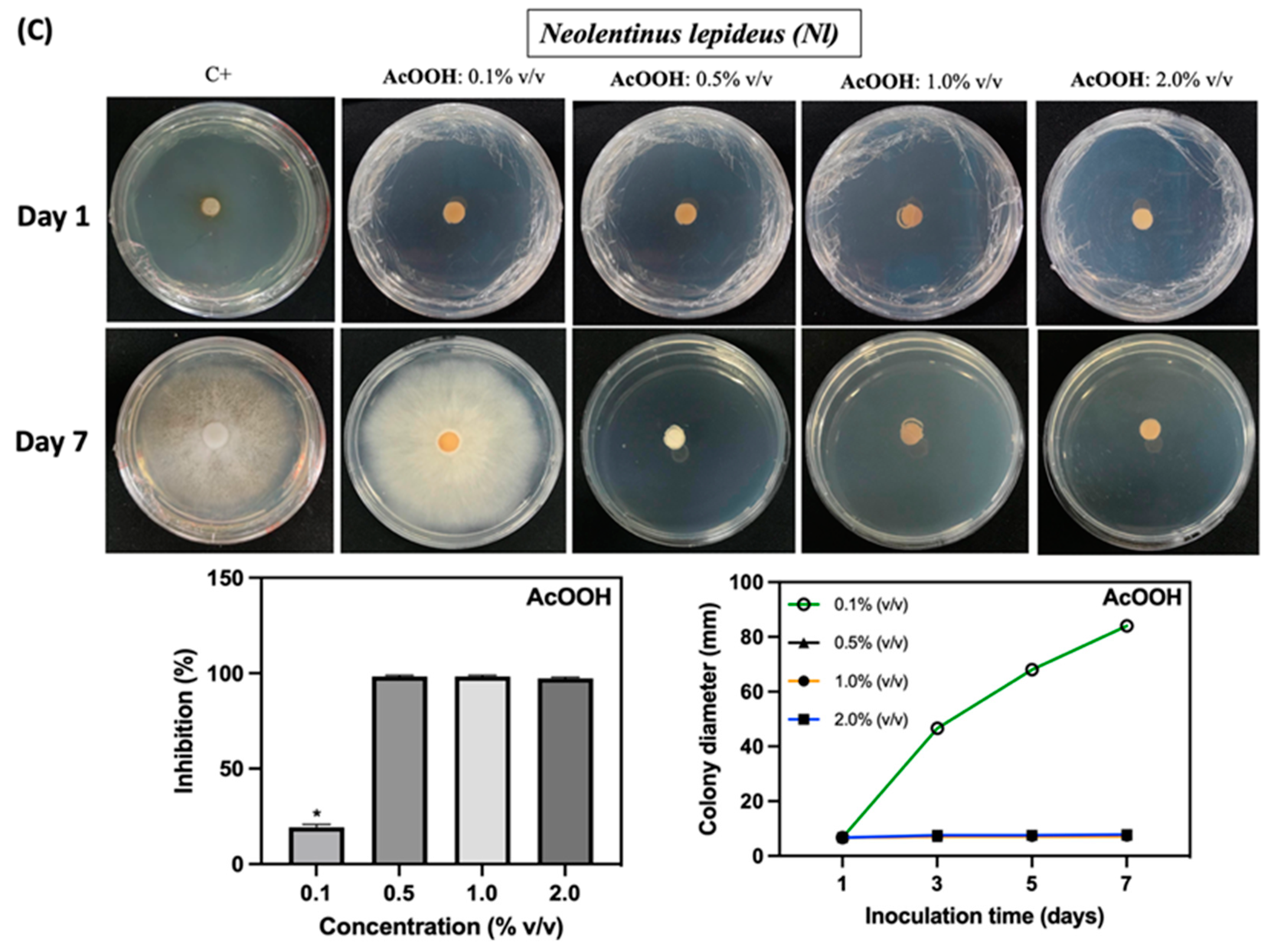 Ijms 25 10899 g006b Ijms 25 10899 g006b
