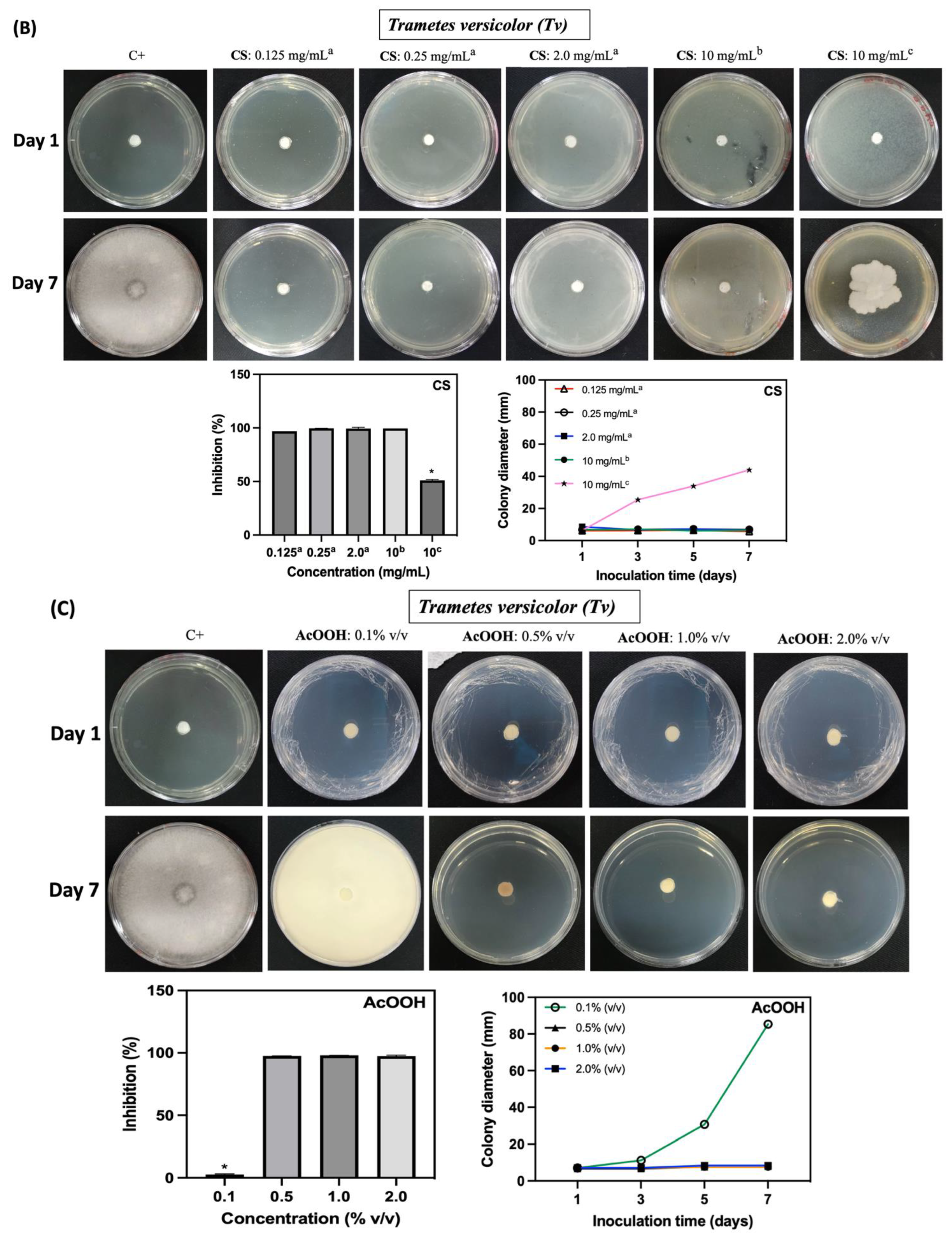 Ijms 25 10899 g007b Ijms 25 10899 g007b