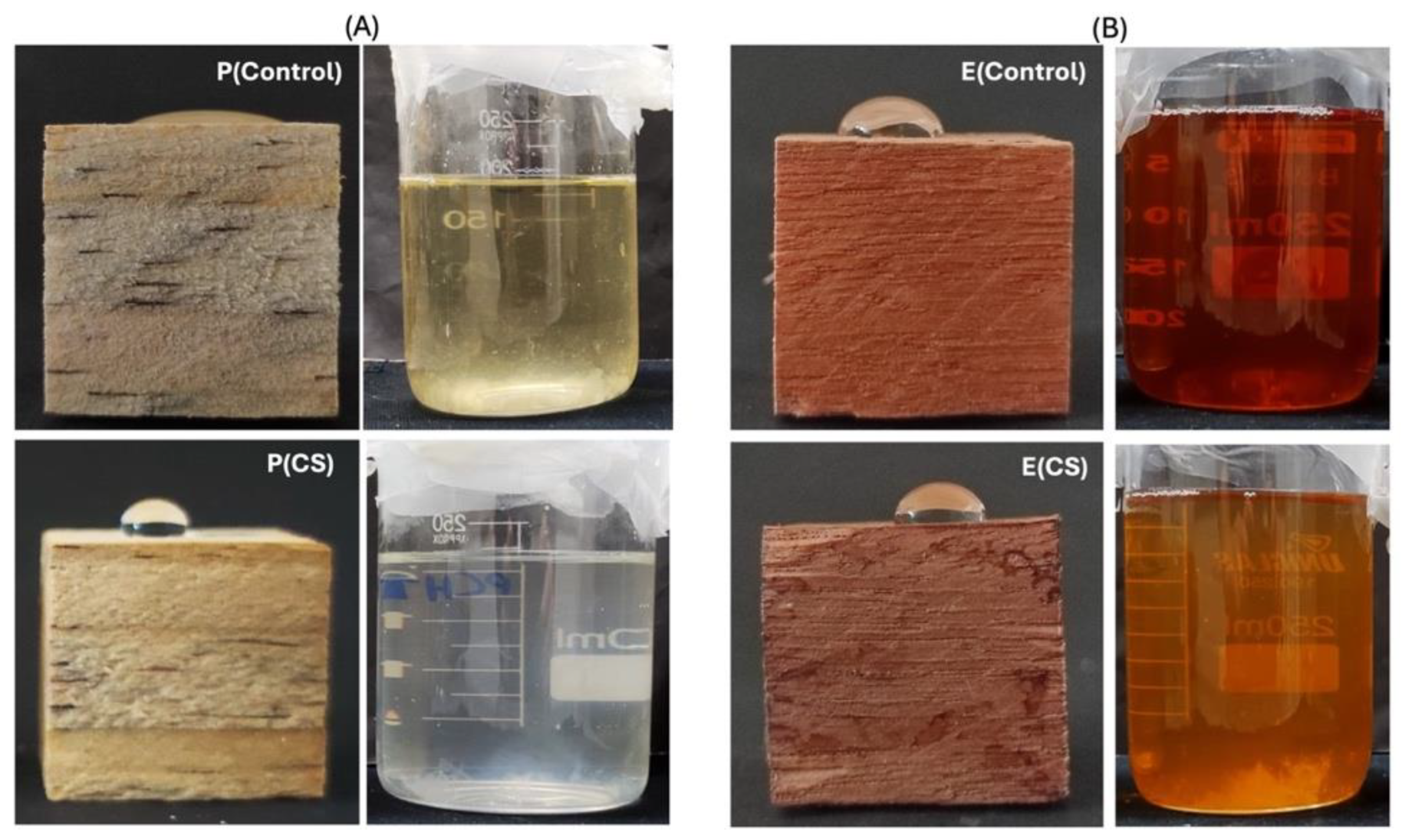 Ijms 25 10899 g009 Ijms 25 10899 g009