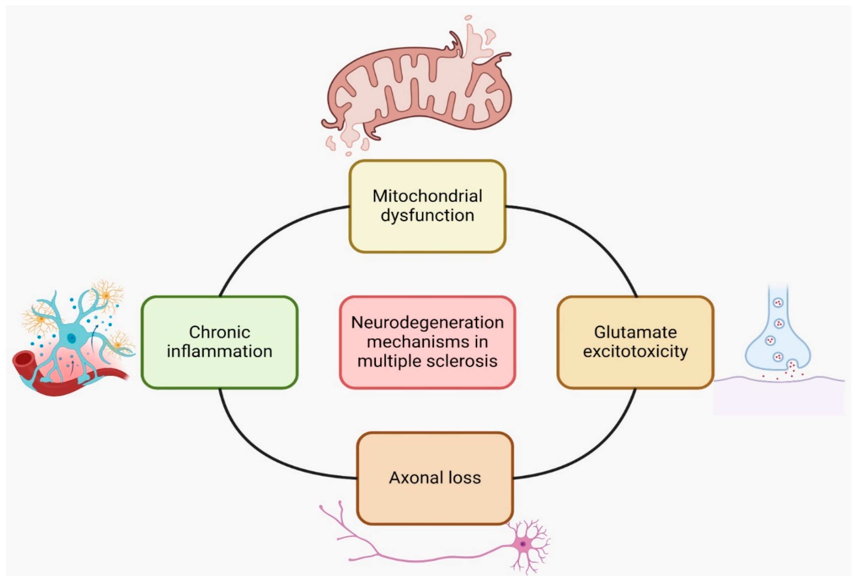 Ijms 25 10909 g002 Ijms 25 10909 g002