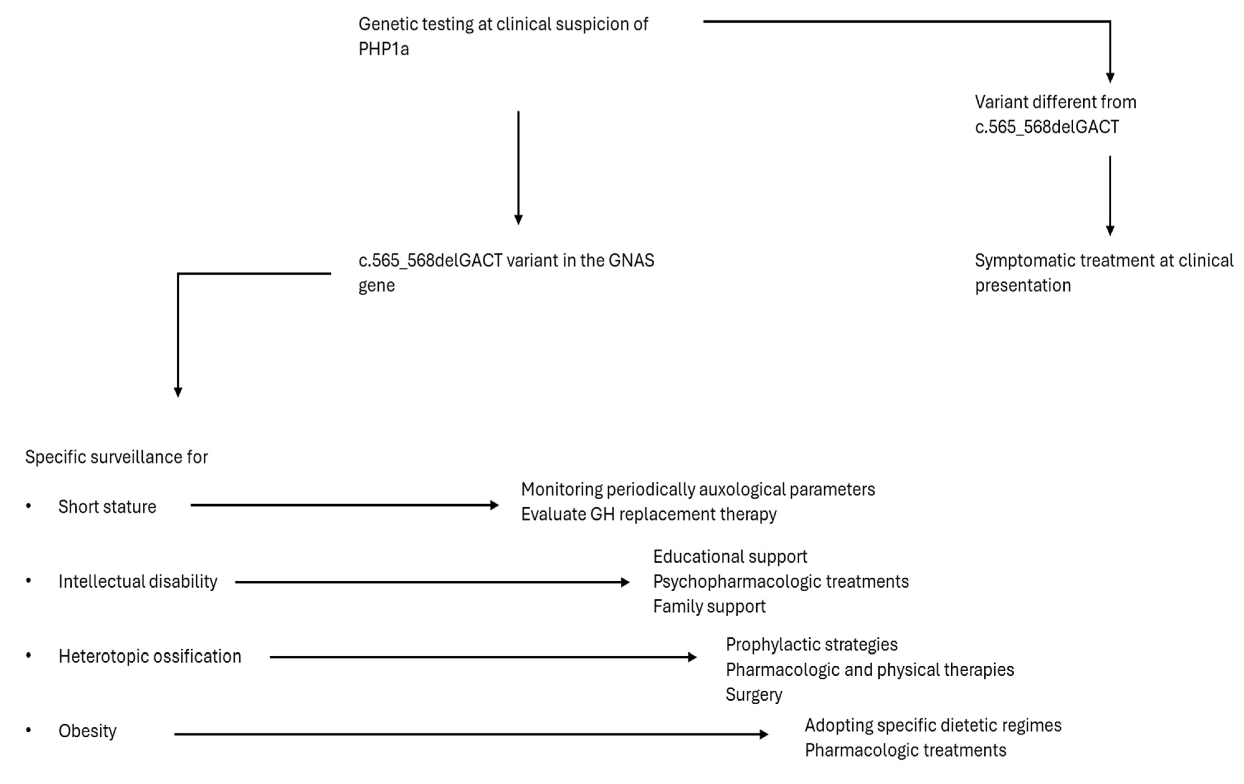 Ijms 25 10913 g003 Ijms 25 10913 g003