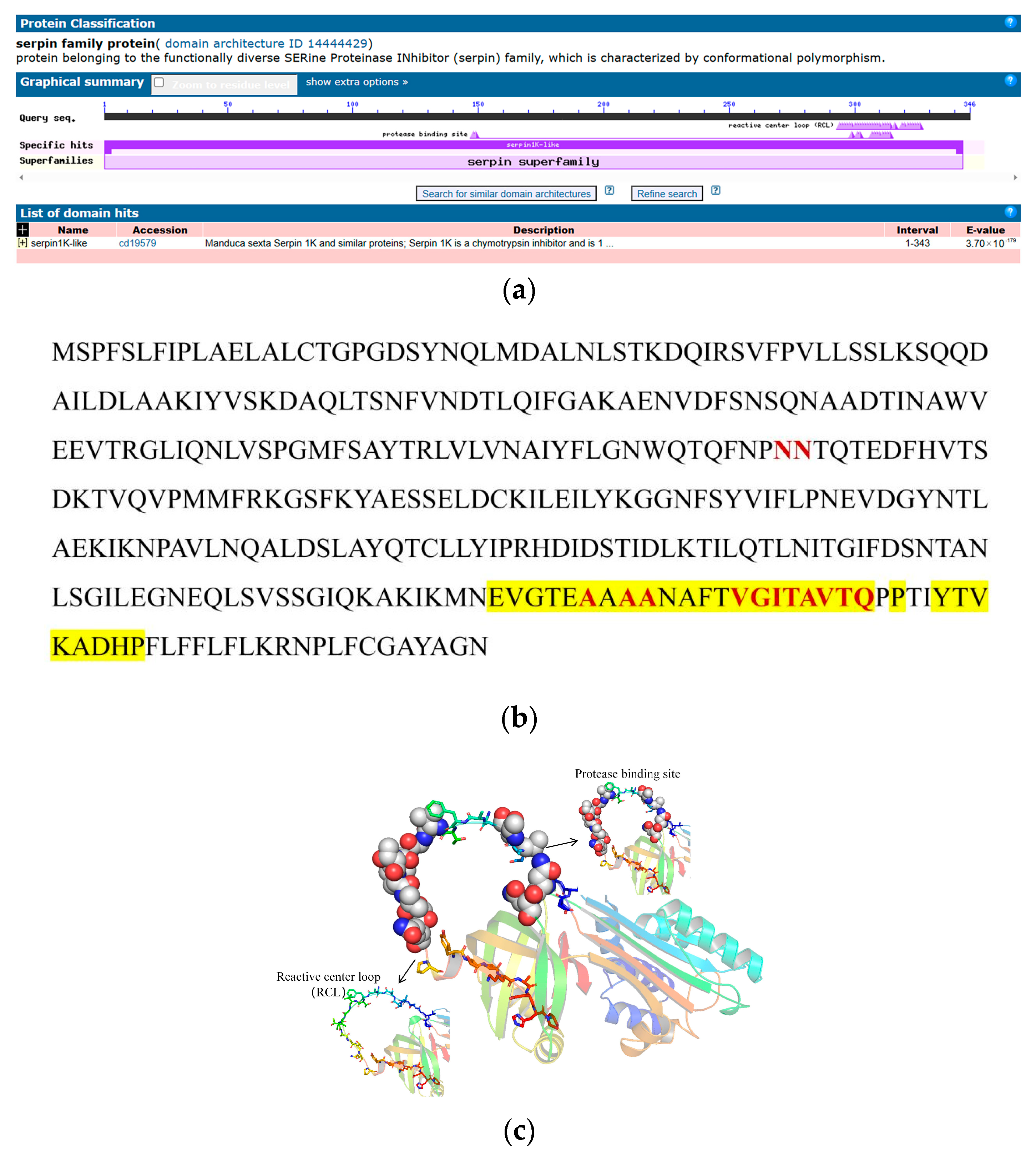 Ijms 25 10921 g007 Ijms 25 10921 g007