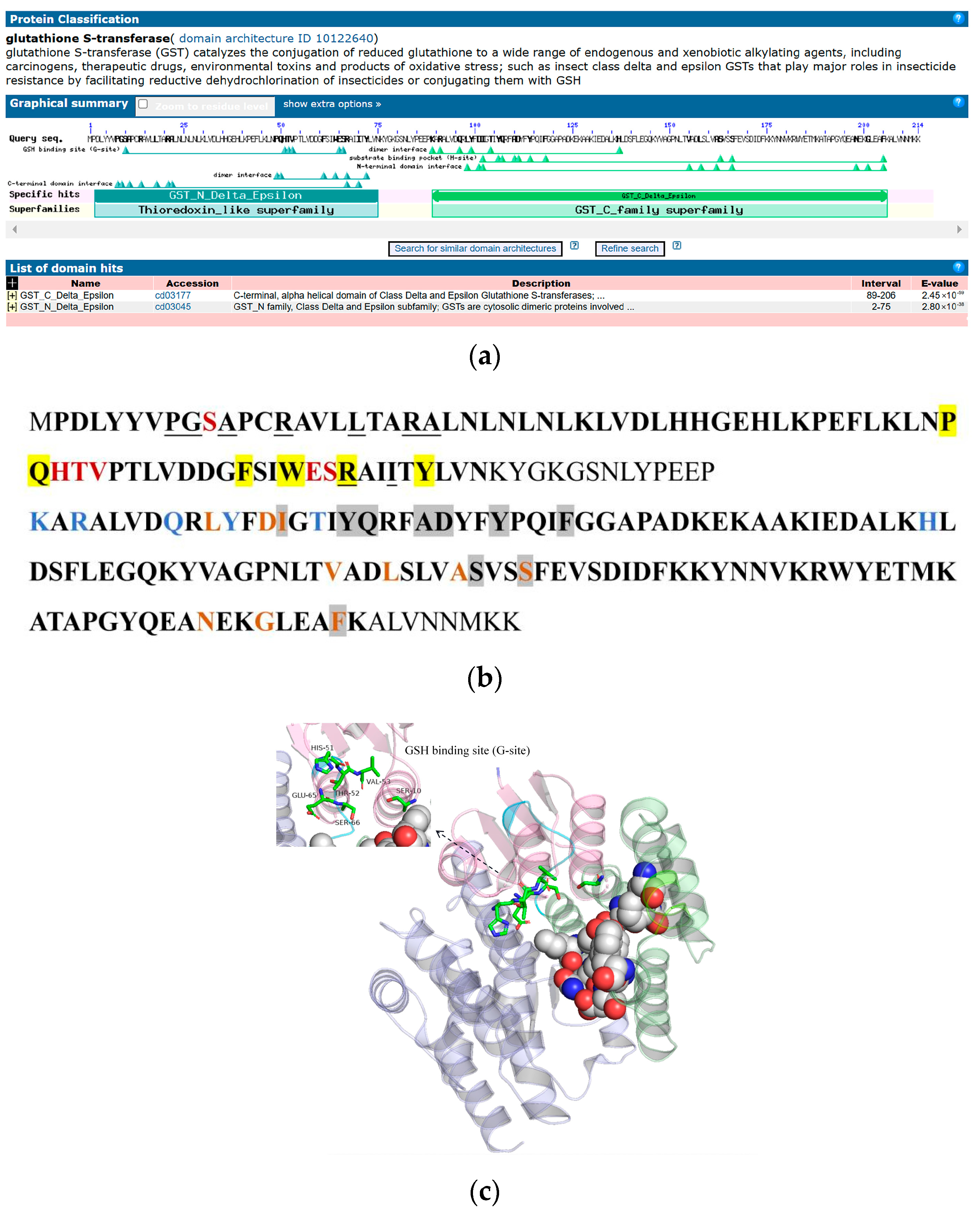 Ijms 25 10921 g008 Ijms 25 10921 g008