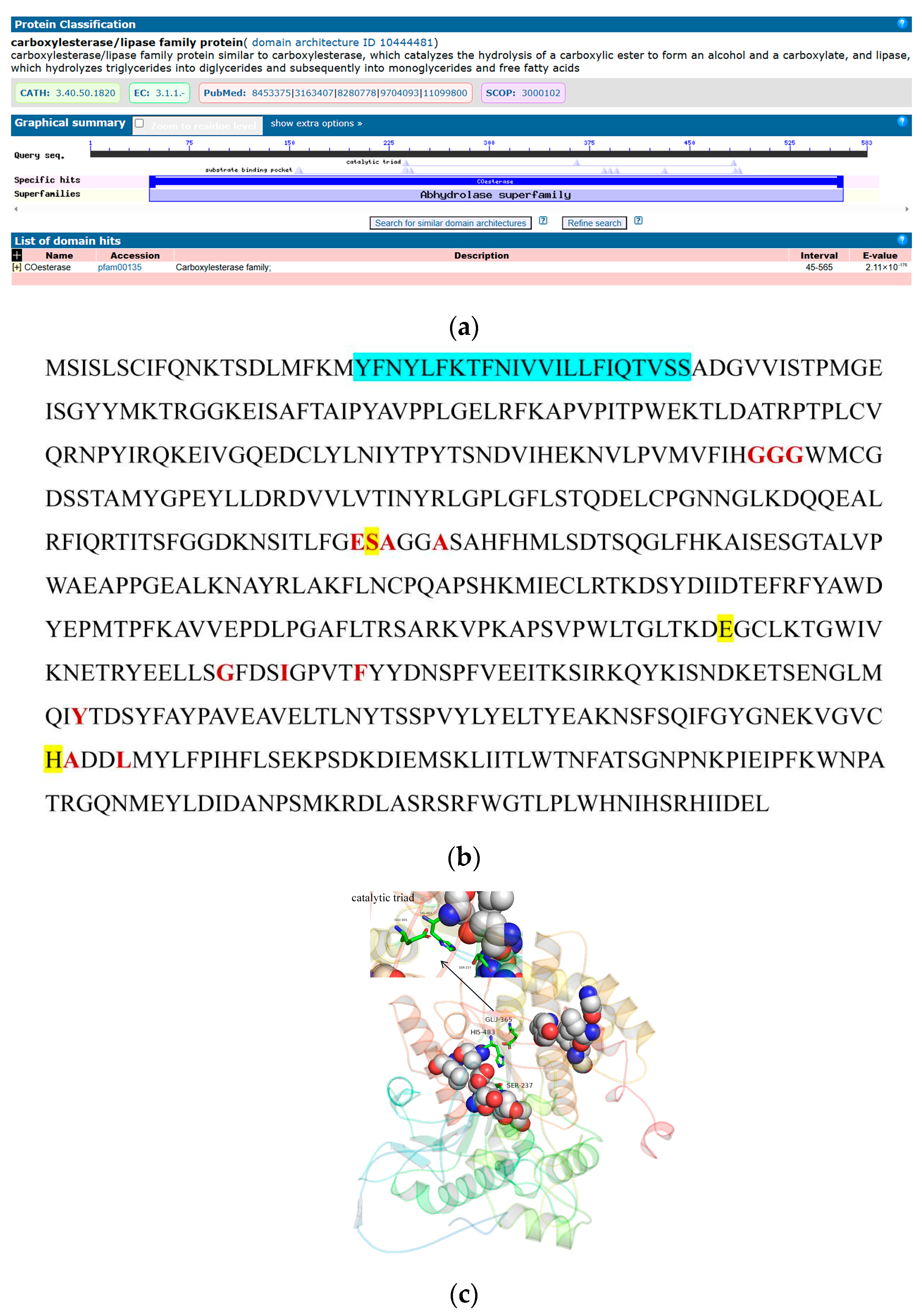 Ijms 25 10921 g010 Ijms 25 10921 g010