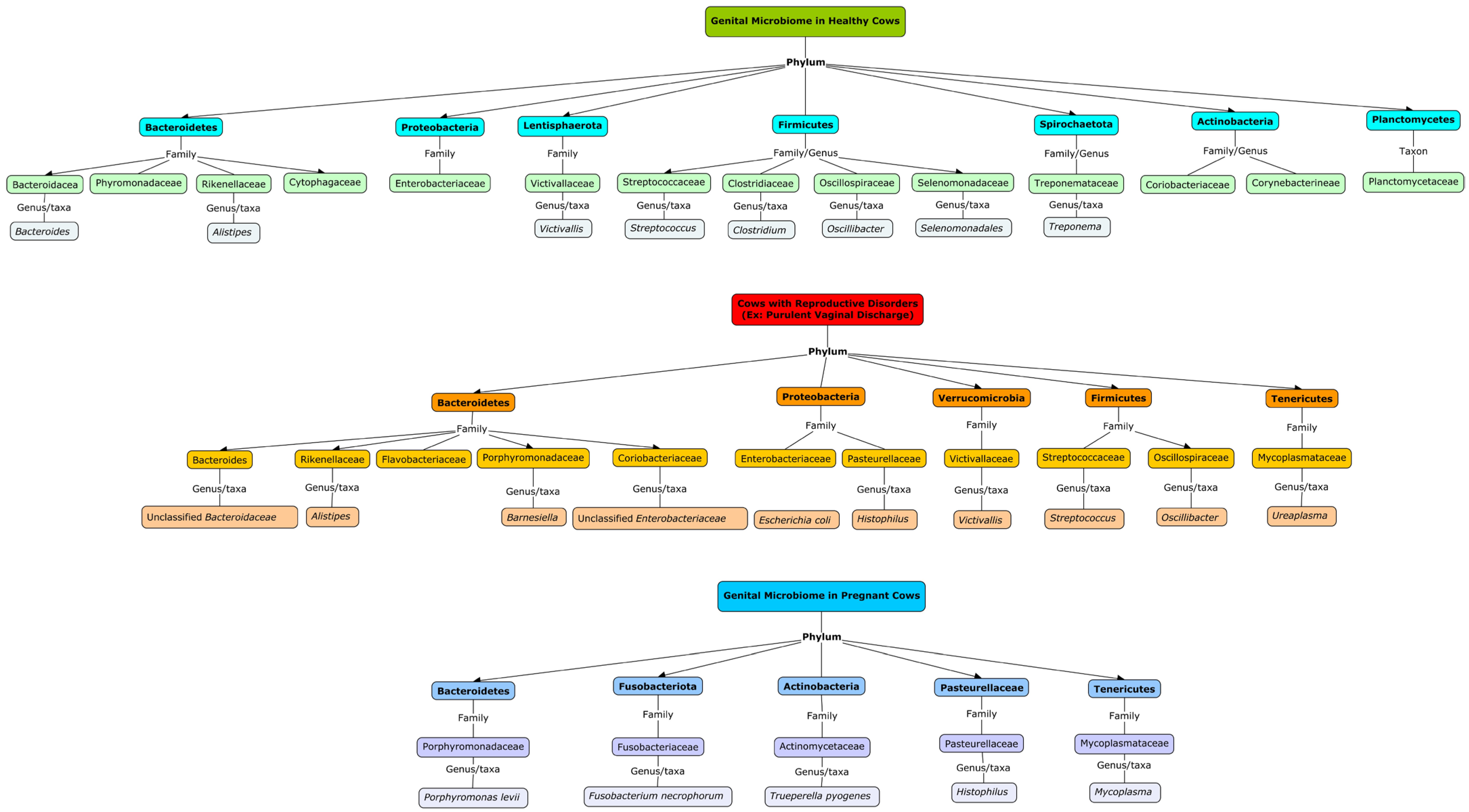 Ijms 25 10923 g001 Ijms 25 10923 g001