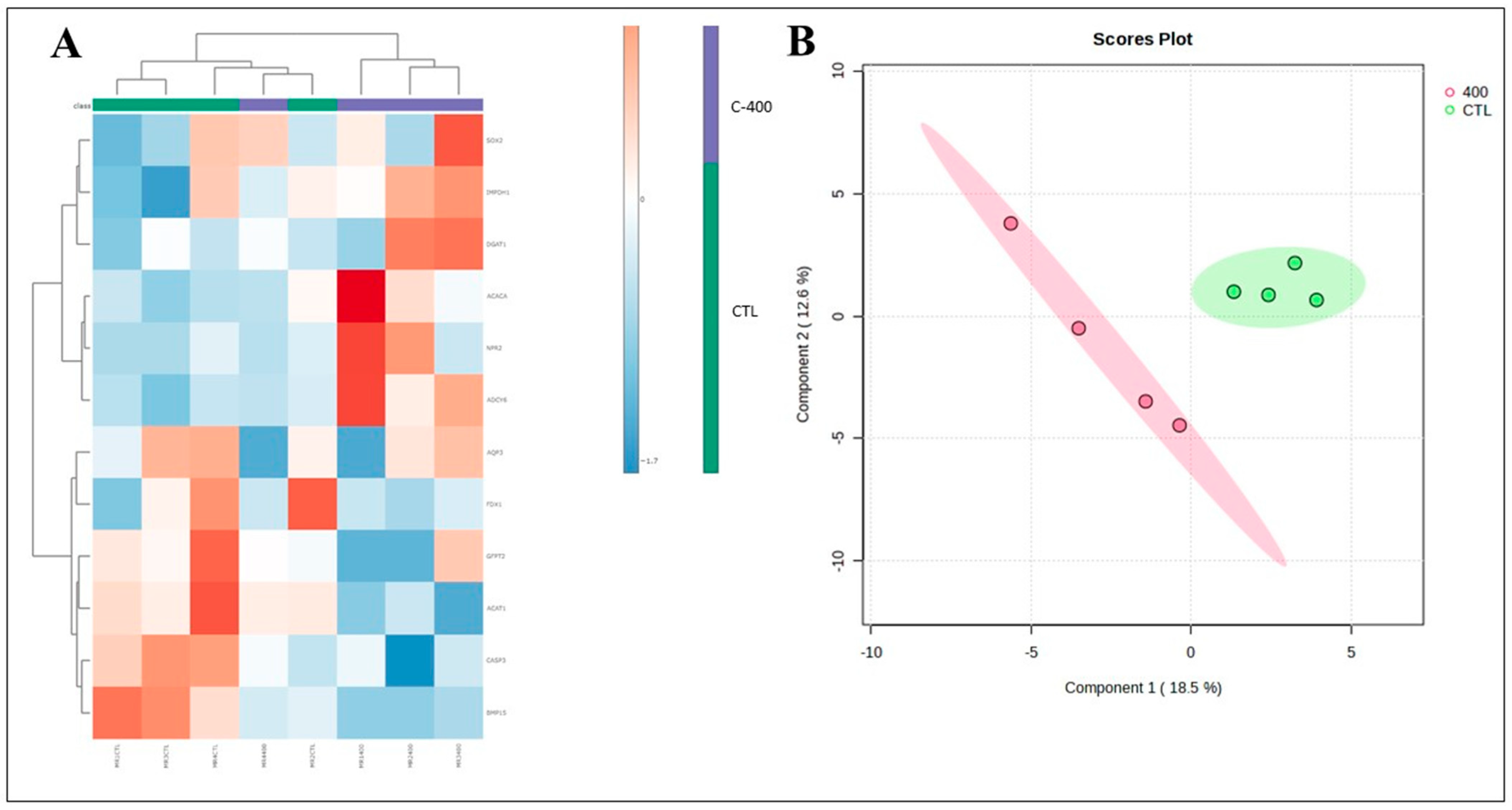 Ijms 25 10938 g004 Ijms 25 10938 g004