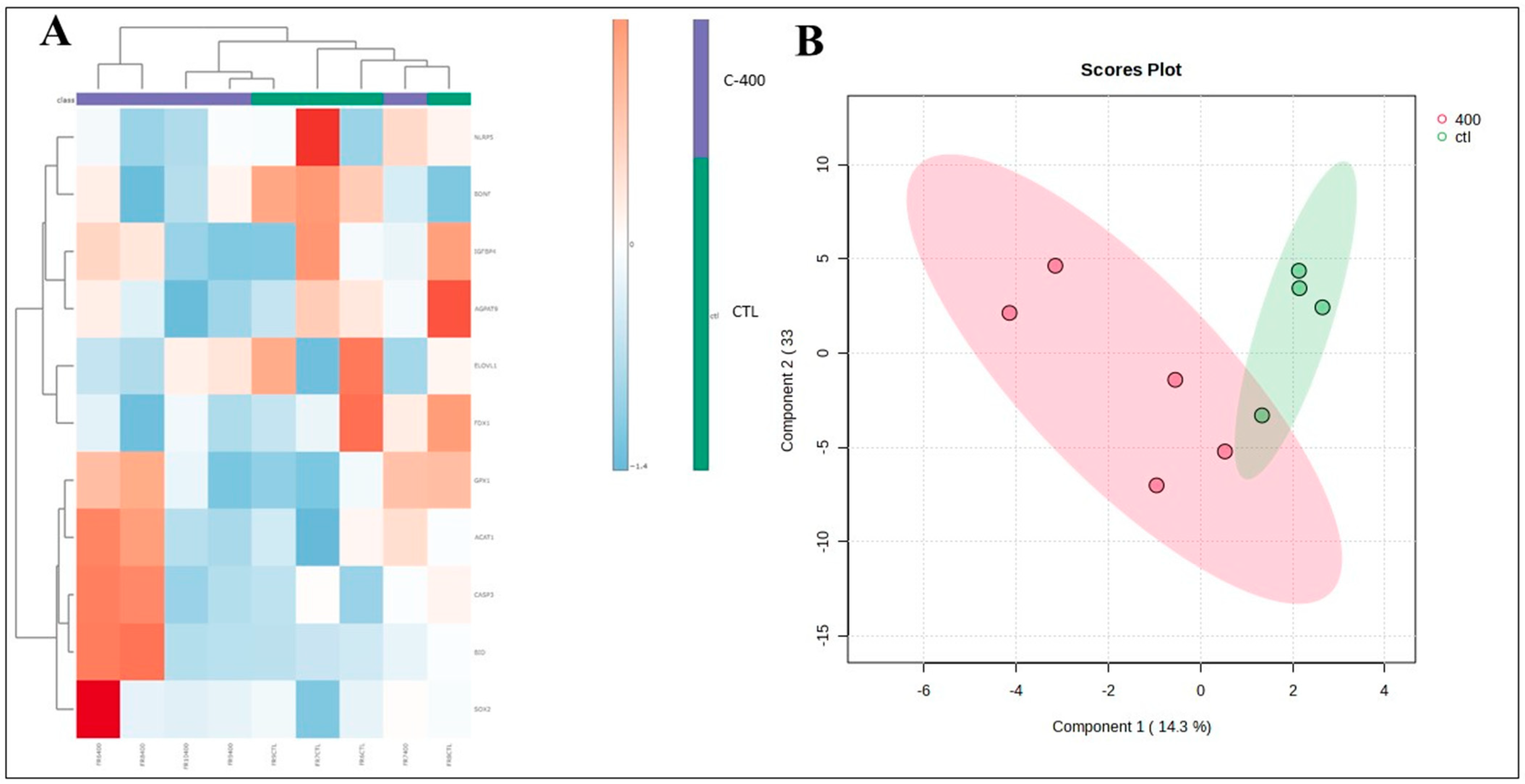 Ijms 25 10938 g005 Ijms 25 10938 g005