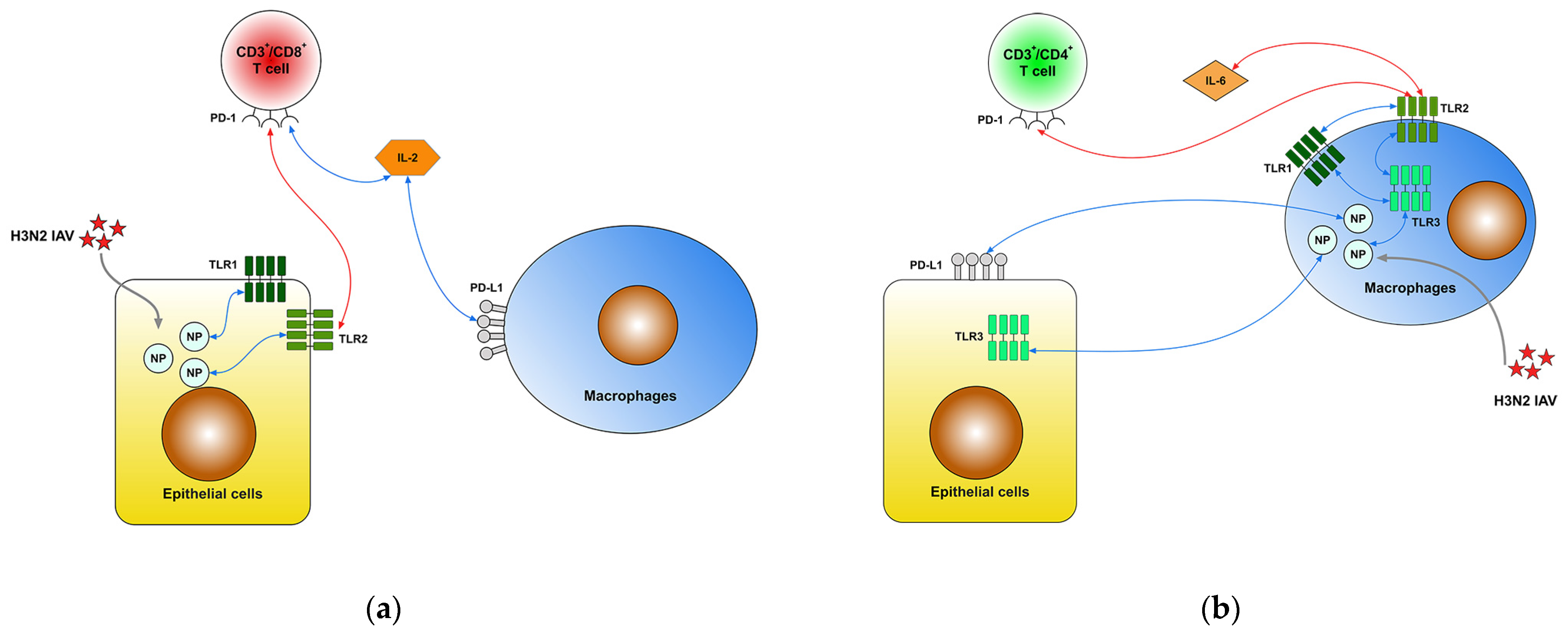 Ijms 25 10941 g001 Ijms 25 10941 g001
