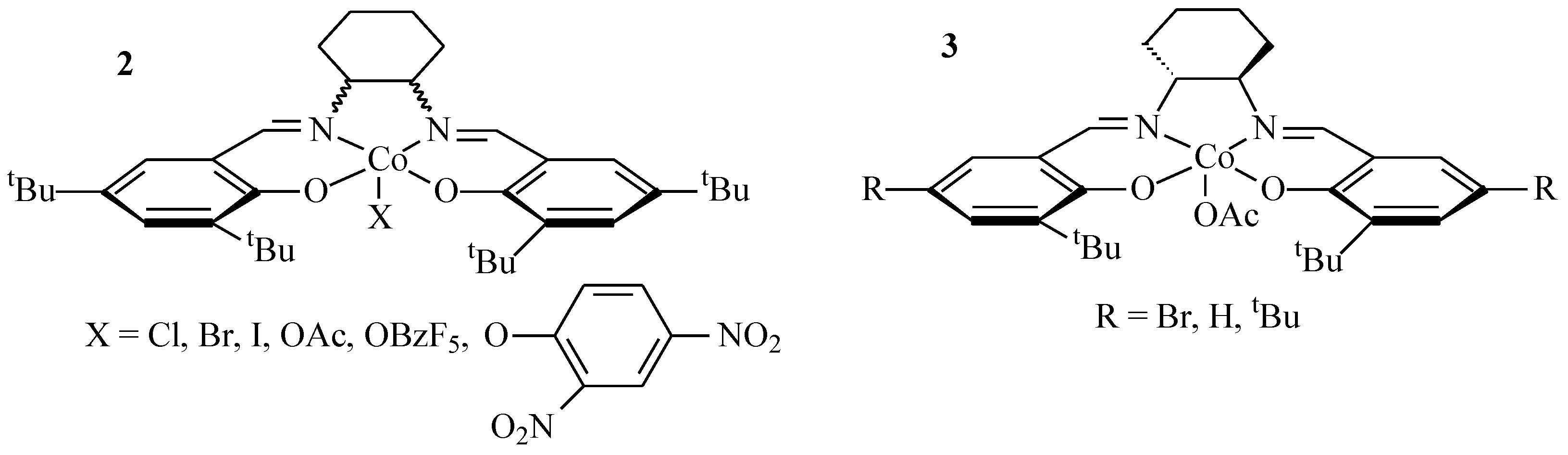 Ijms 25 10946 sch002