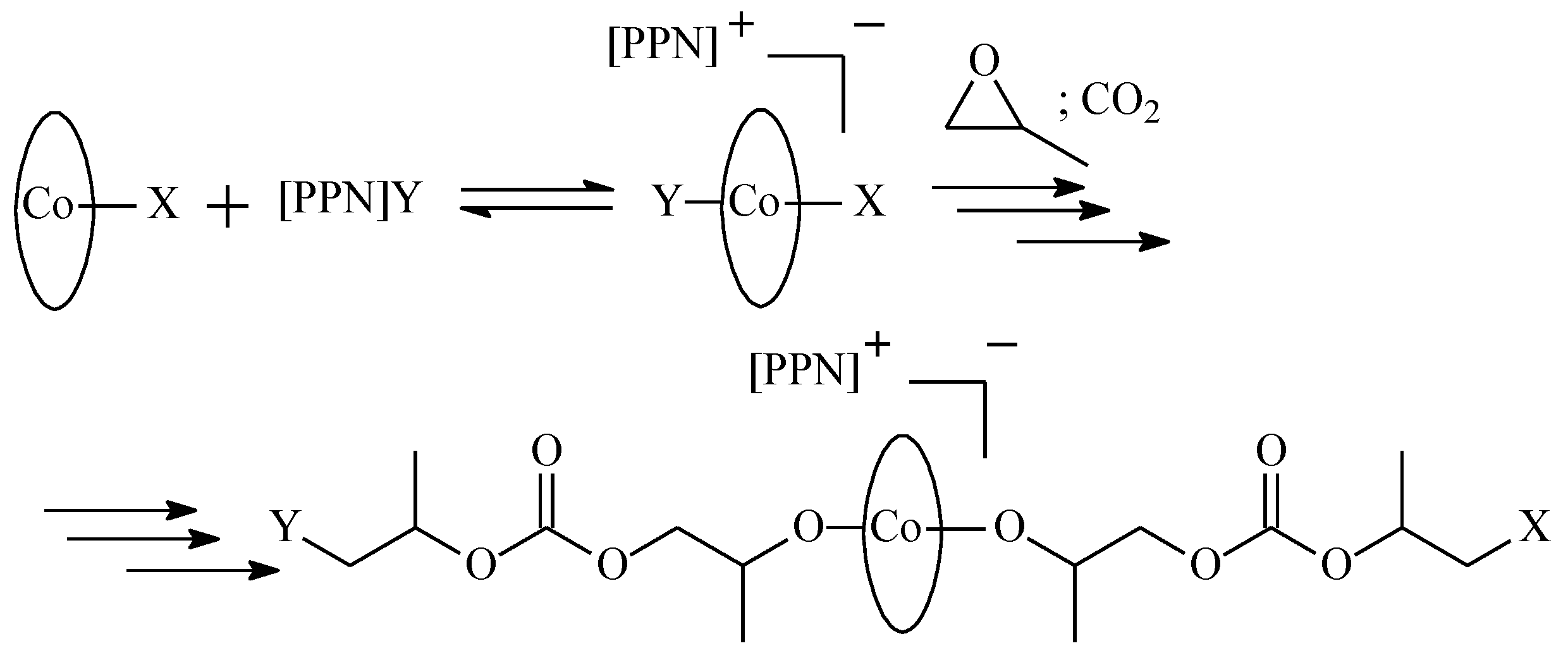 Ijms 25 10946 sch003