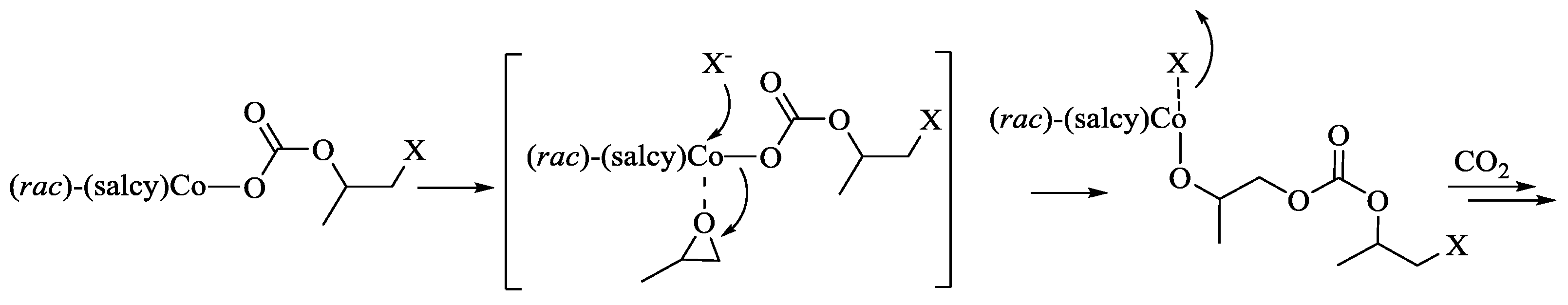 Ijms 25 10946 sch007