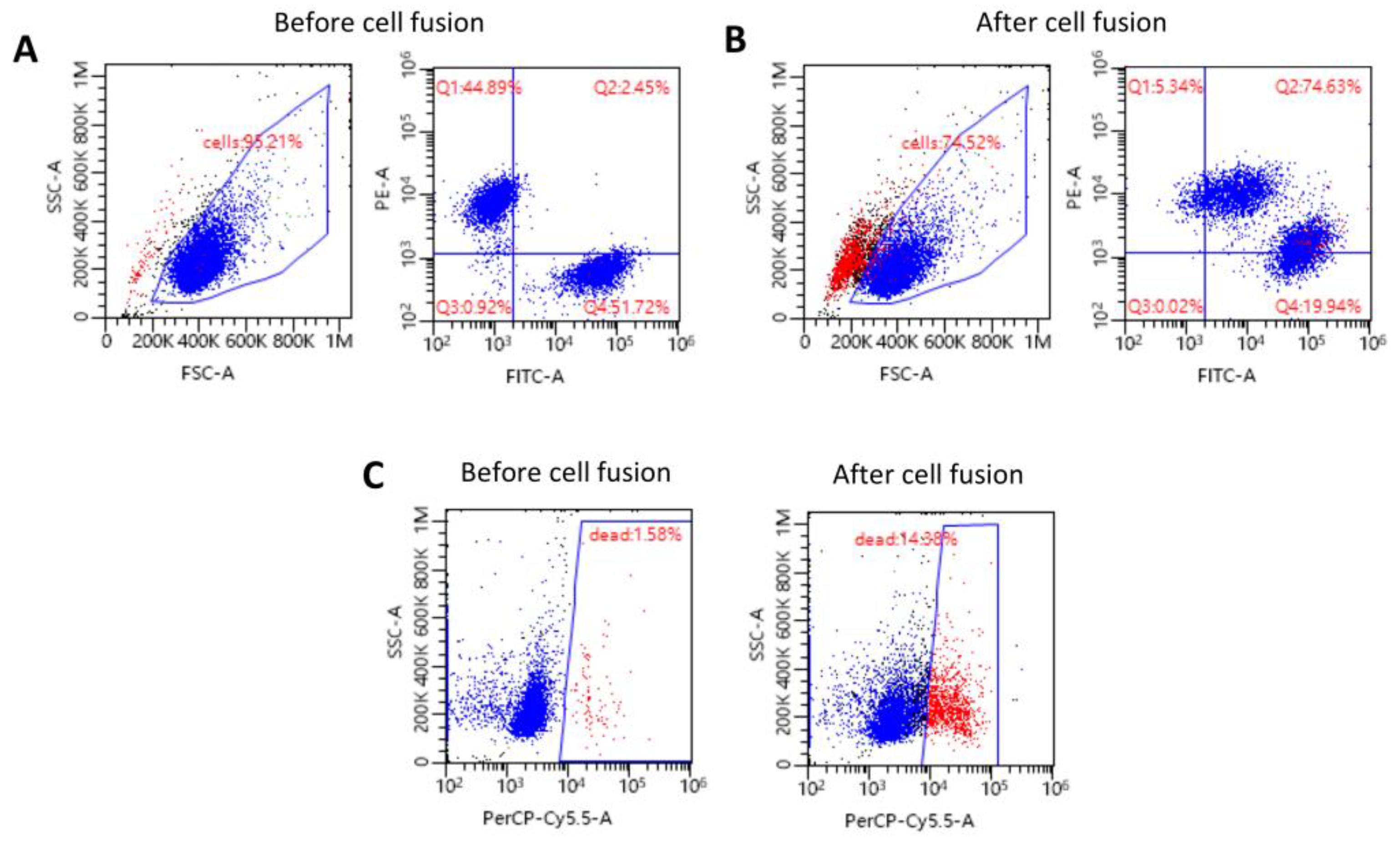 Ijms 25 10947 g002 Ijms 25 10947 g002