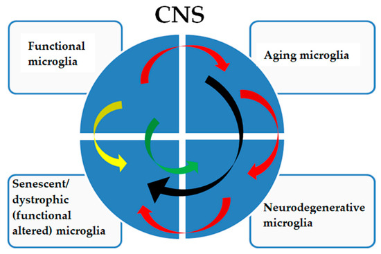 Microglia Signatures: A Cause or Consequence of Microglia