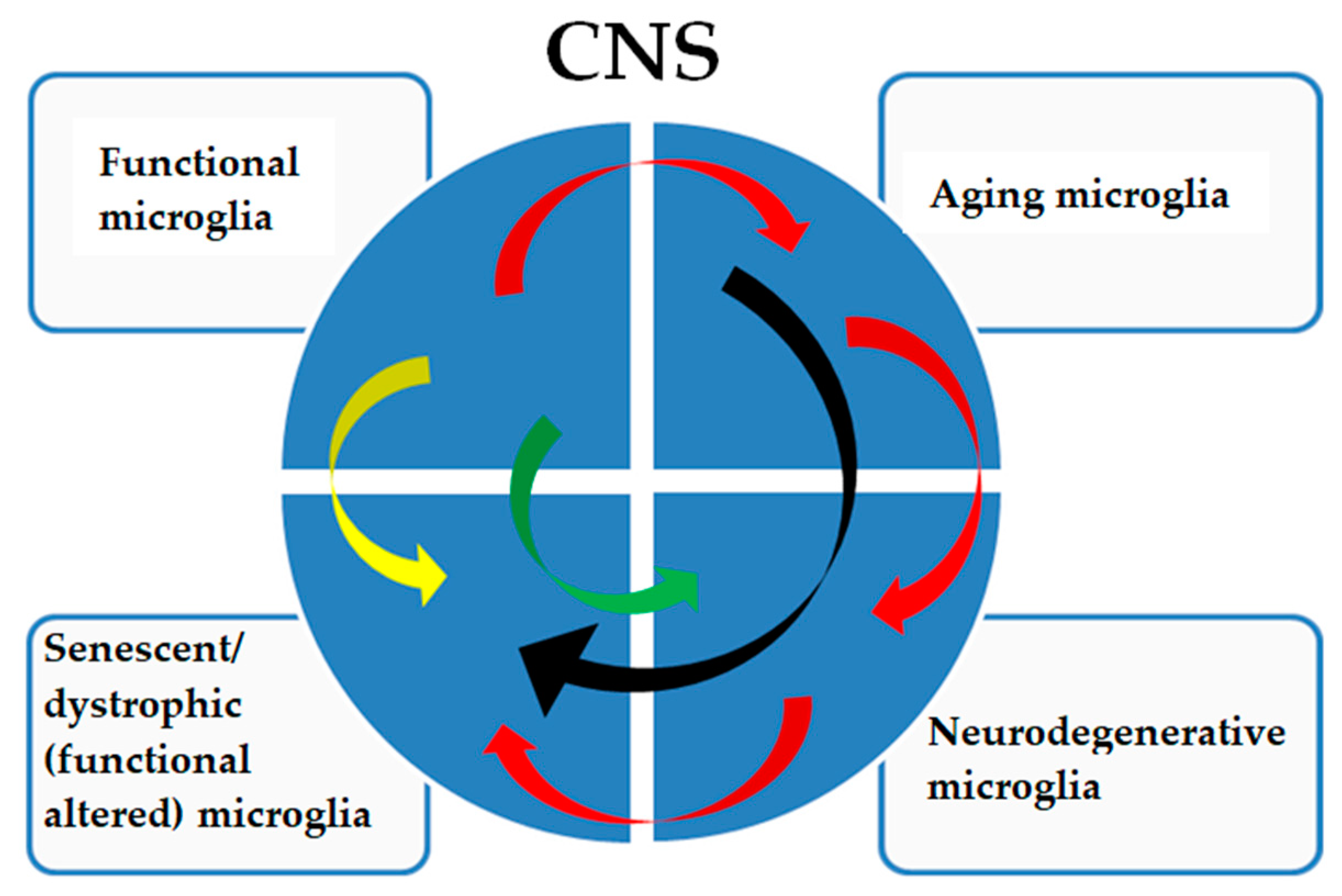 Microglia Signatures: A Cause or Consequence of Microglia
