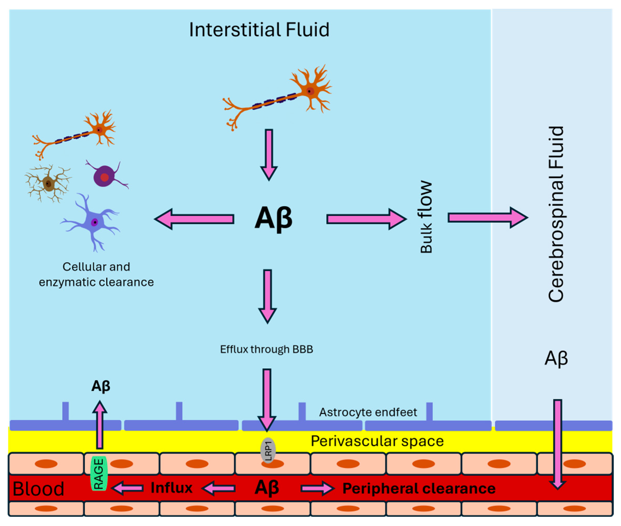 Ijms 25 10964 g001 Ijms 25 10964 g001