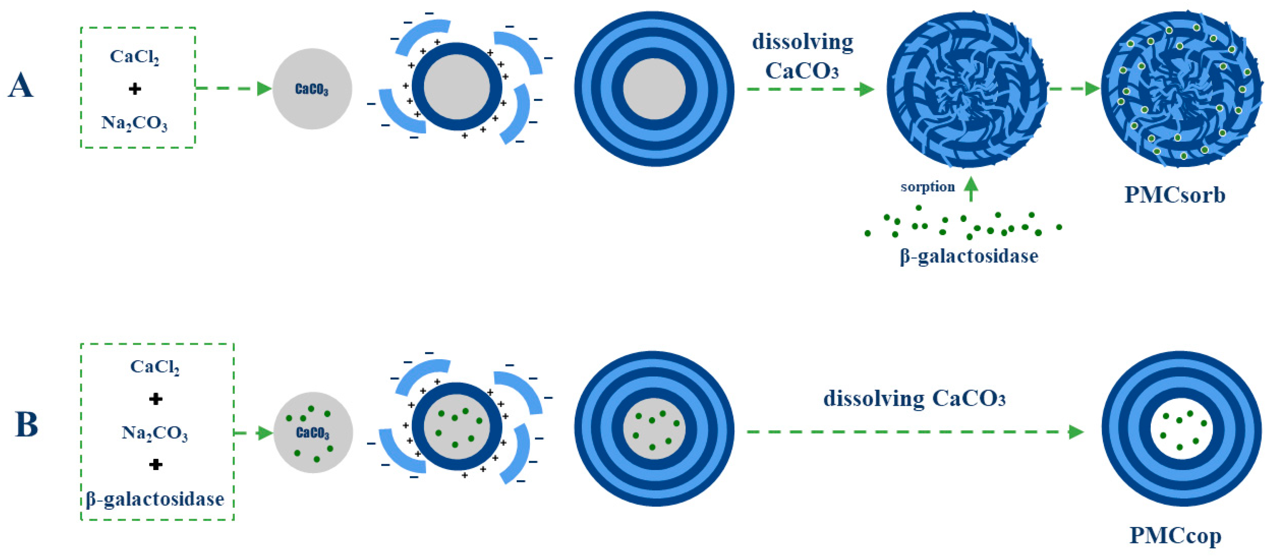 Ijms 25 10978 g001 Ijms 25 10978 g001