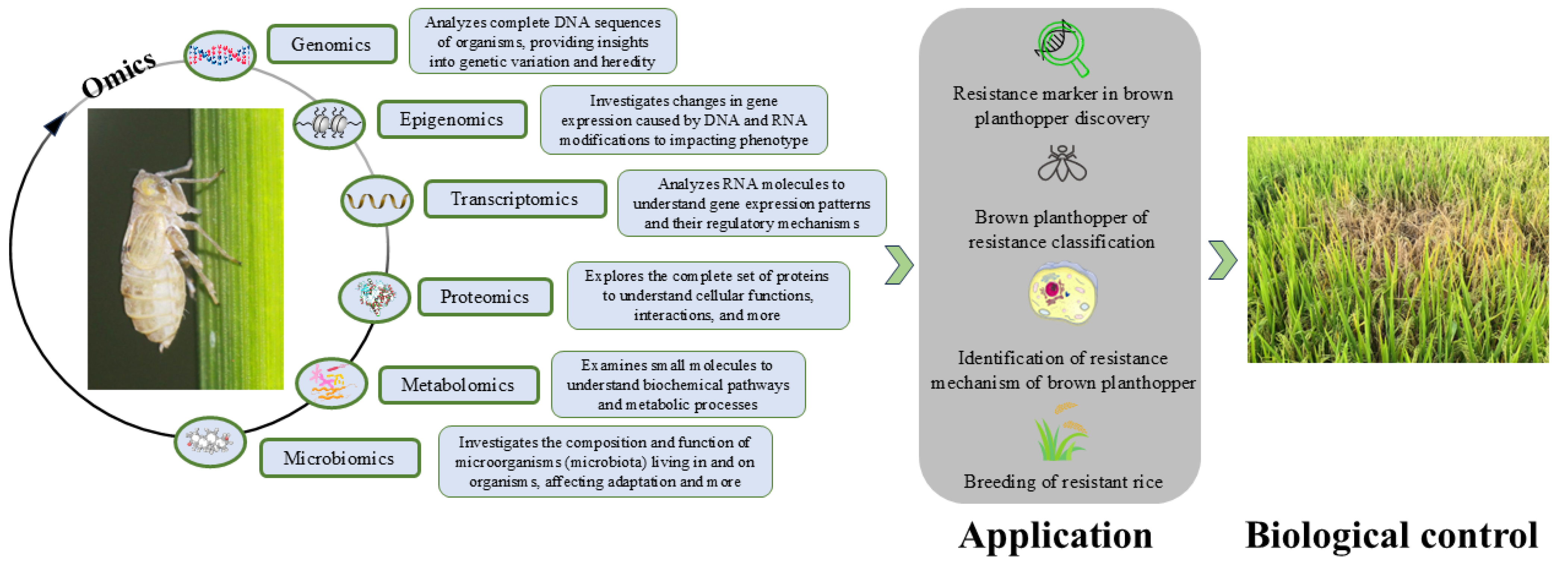 Integrative Omics Strategies for Understanding and Combating