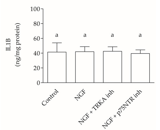 Interleukin-1 Beta (IL1B) and Nerve Growth Factor (NGF): Key Players in ...