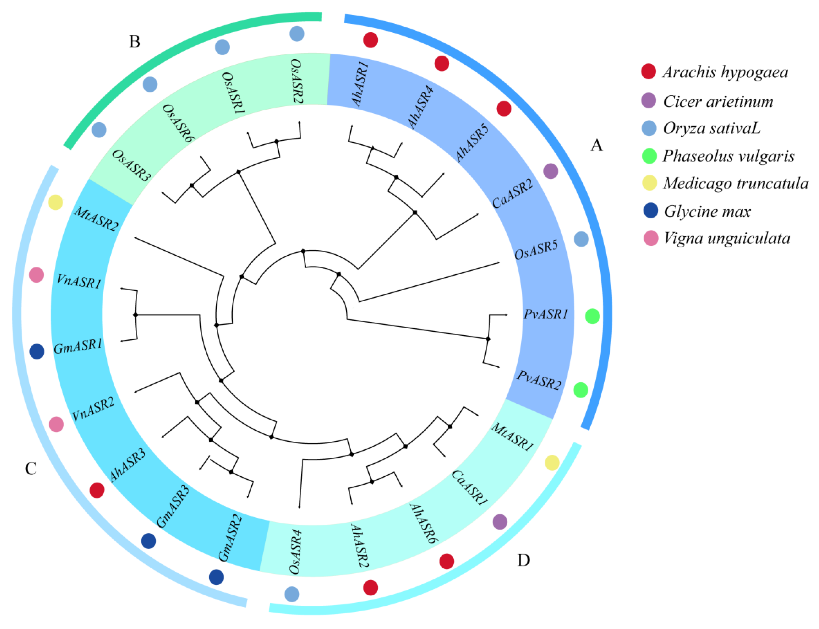 Ijms 25 11008 g002 Ijms 25 11008 g002