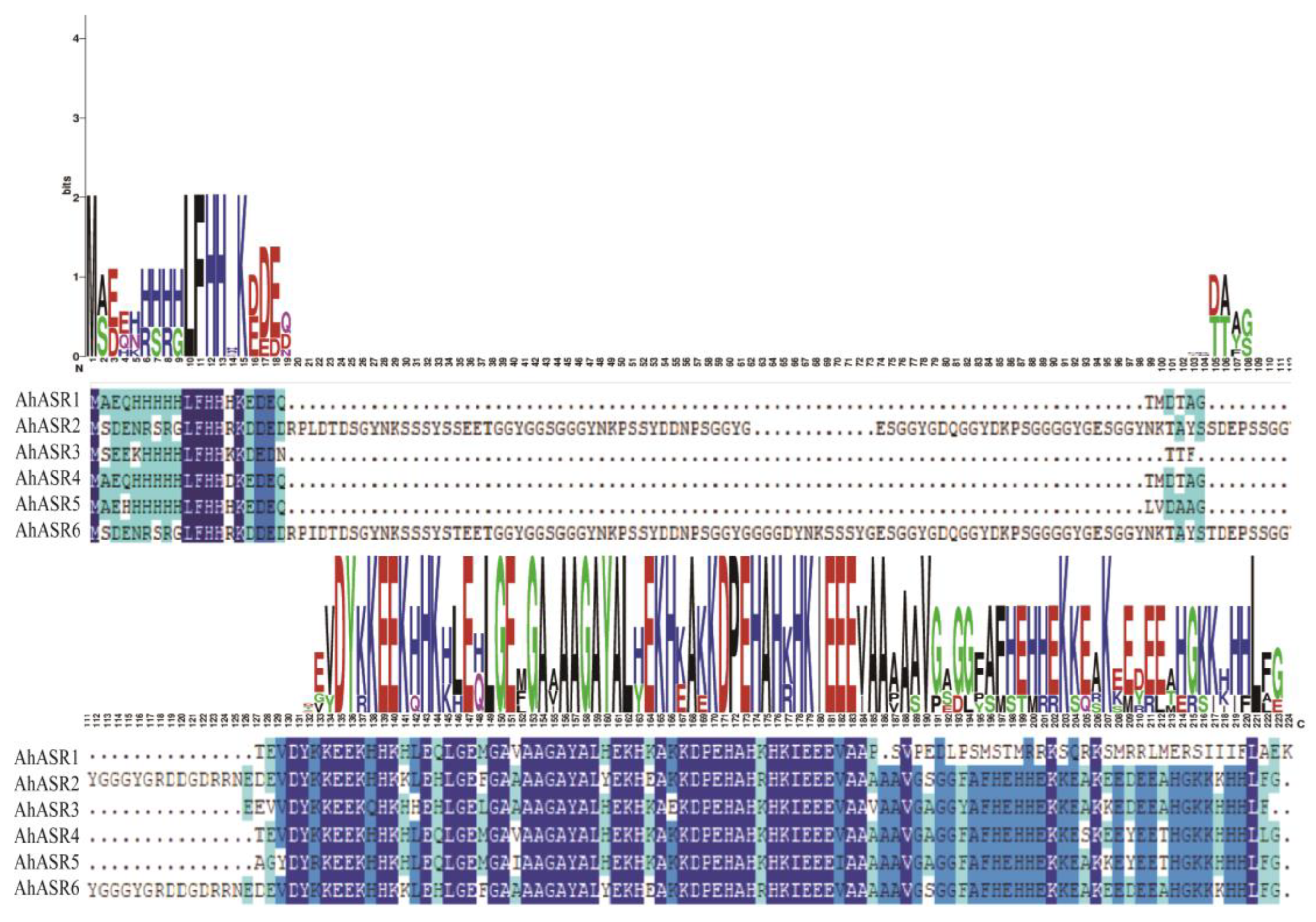 Ijms 25 11008 g004 Ijms 25 11008 g004