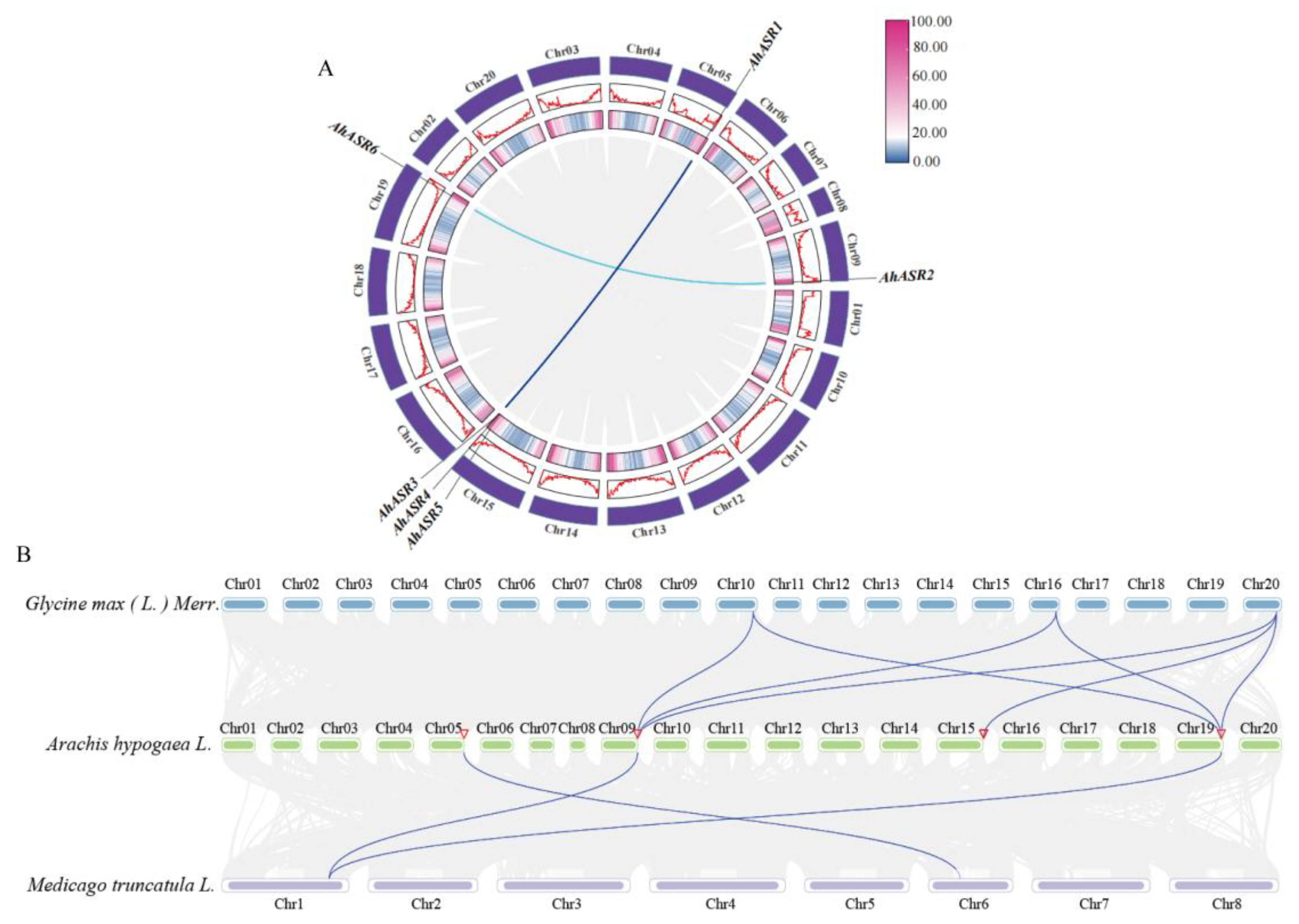 Ijms 25 11008 g006 Ijms 25 11008 g006
