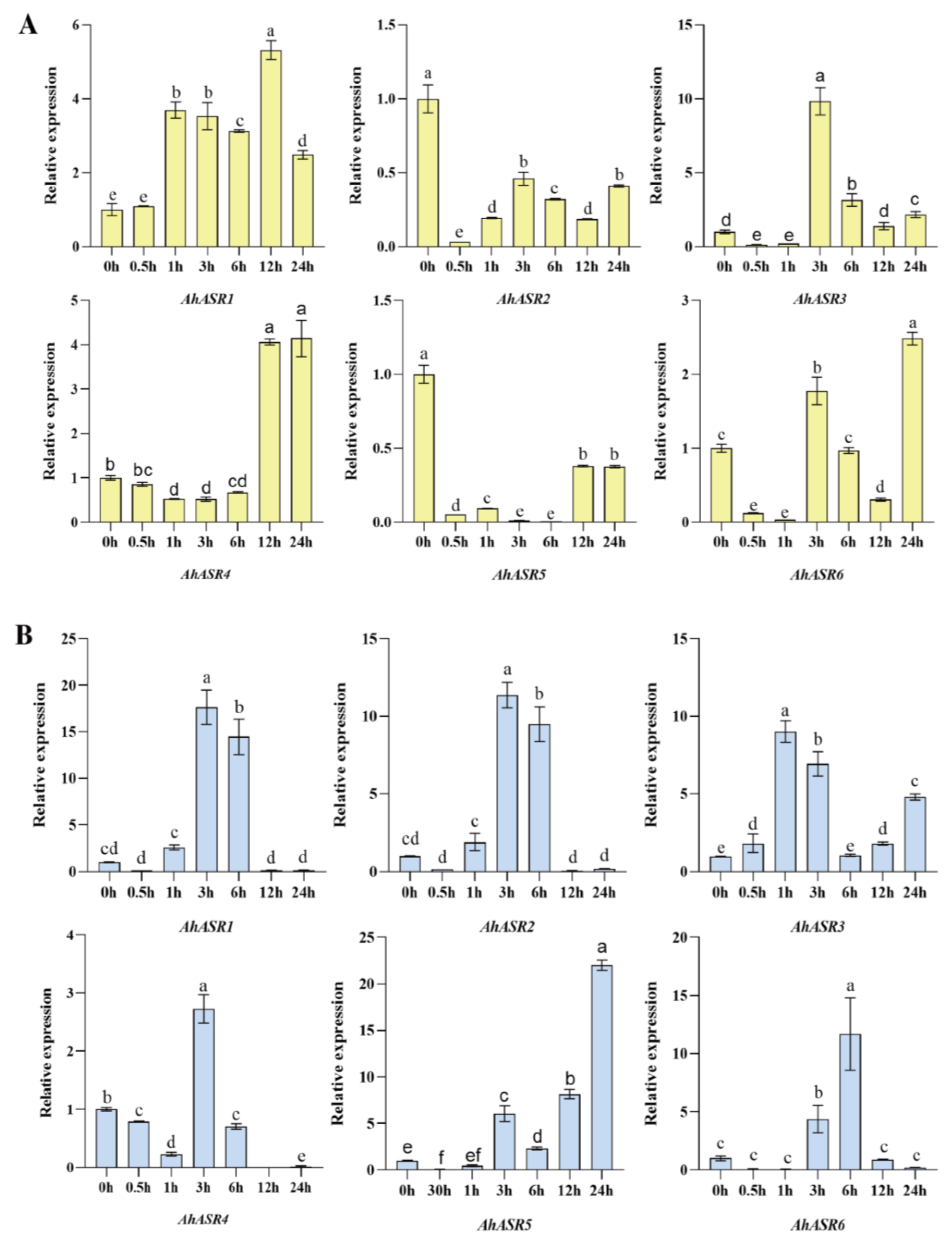 Ijms 25 11008 g009 Ijms 25 11008 g009