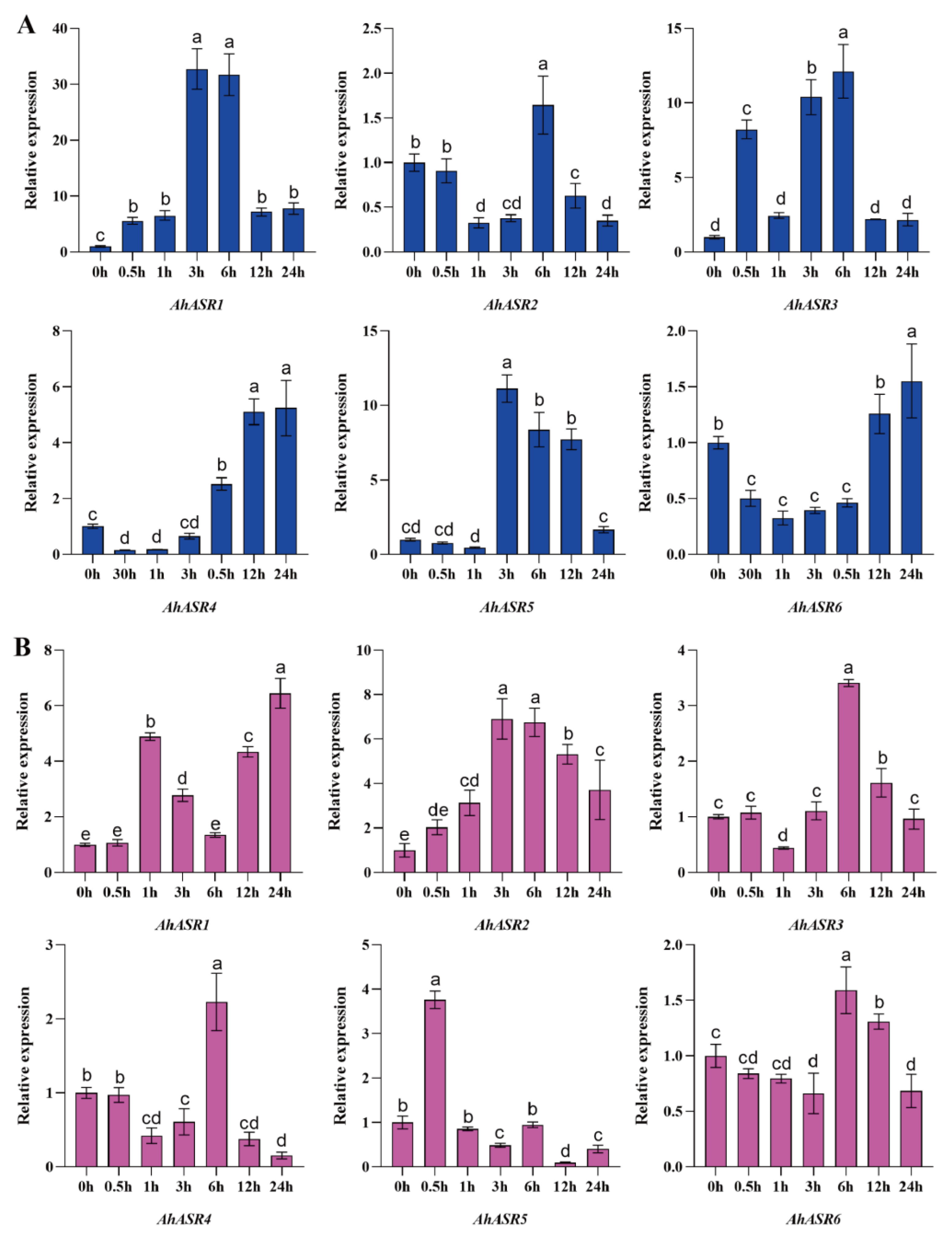 Ijms 25 11008 g010 Ijms 25 11008 g010